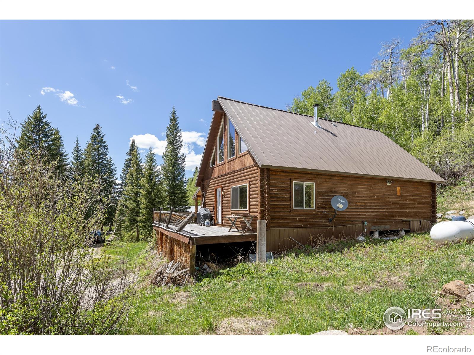MLS Image #26 for 320  mill street,eagle, Colorado