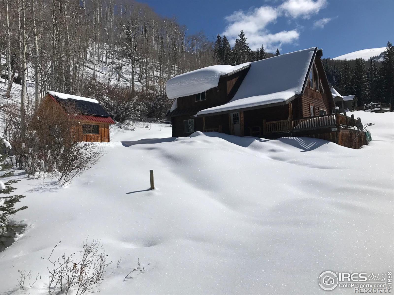MLS Image #28 for 320  mill street,eagle, Colorado