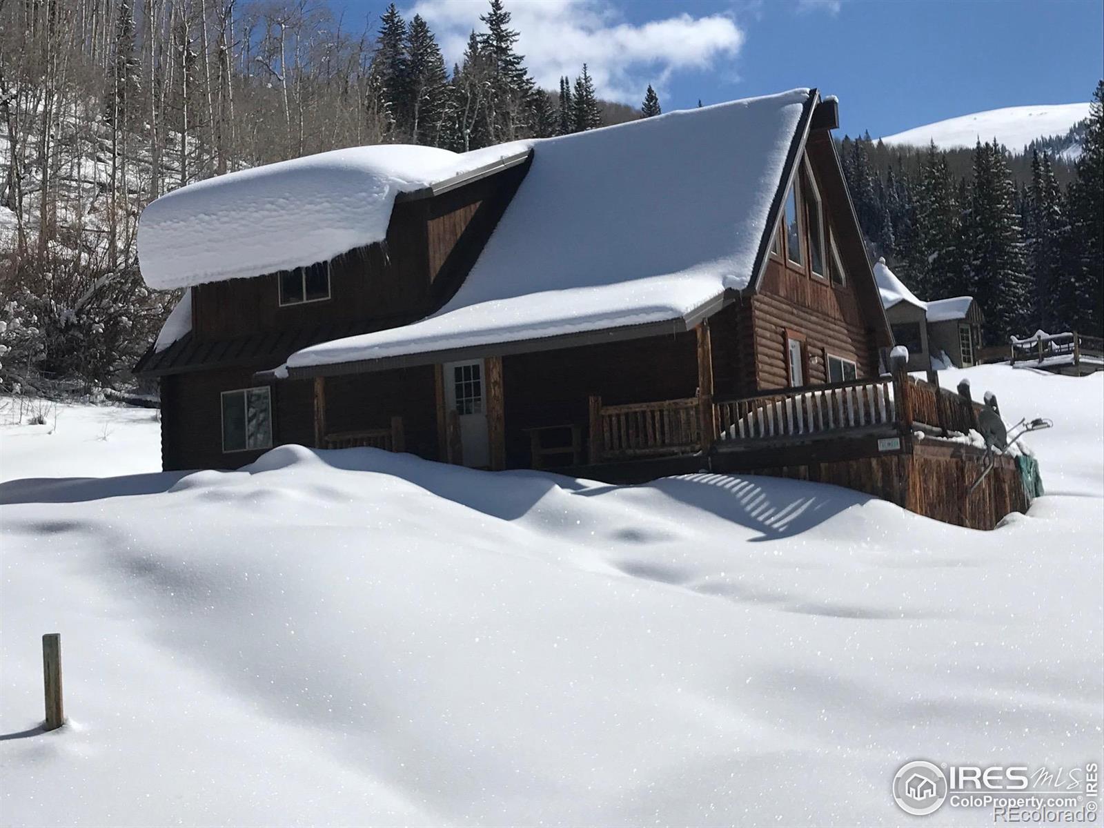 MLS Image #29 for 320  mill street,eagle, Colorado