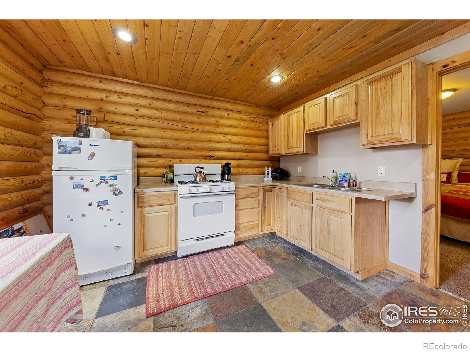 MLS Image #7 for 320  mill street,eagle, Colorado