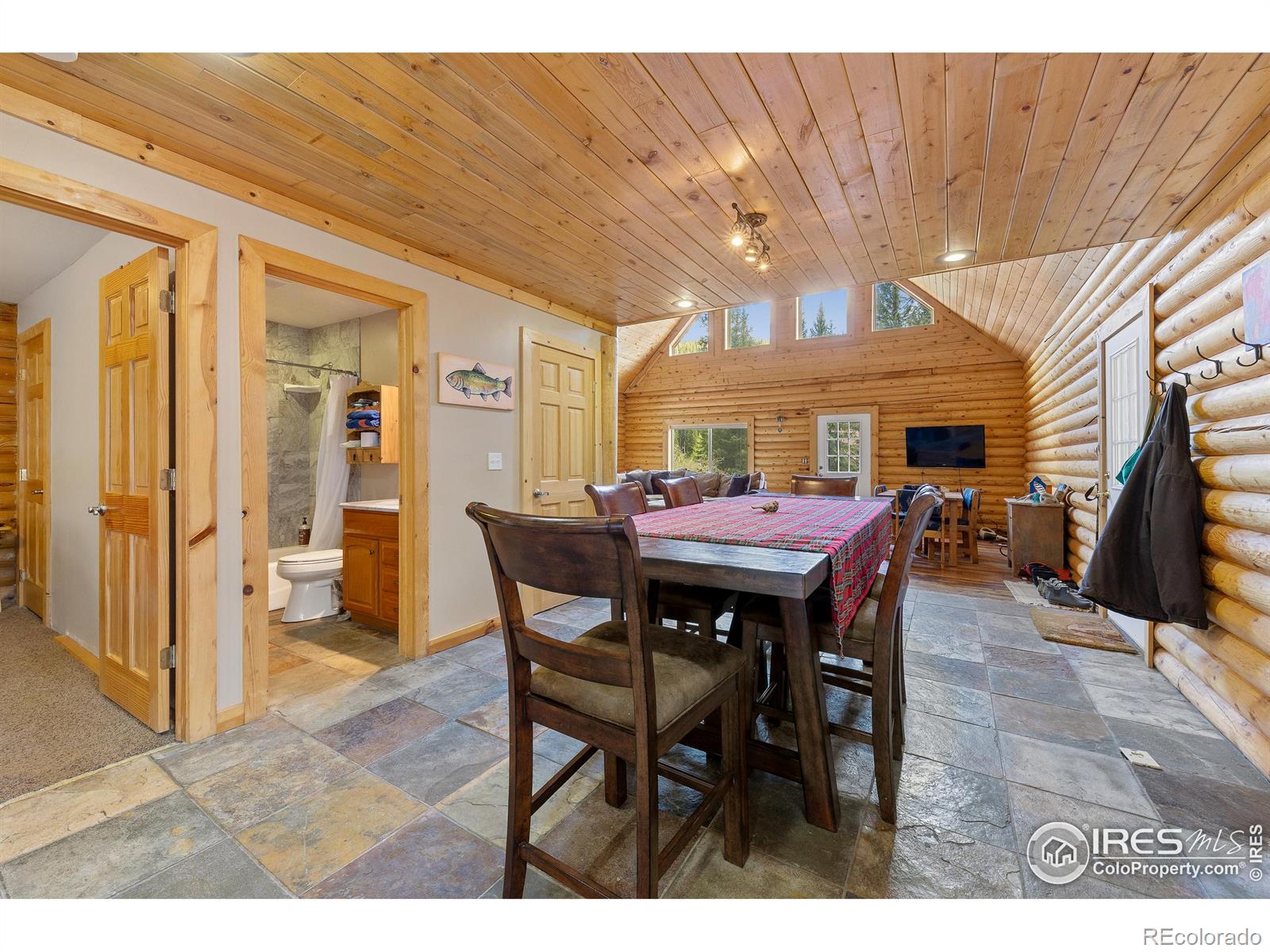 MLS Image #9 for 320  mill street,eagle, Colorado