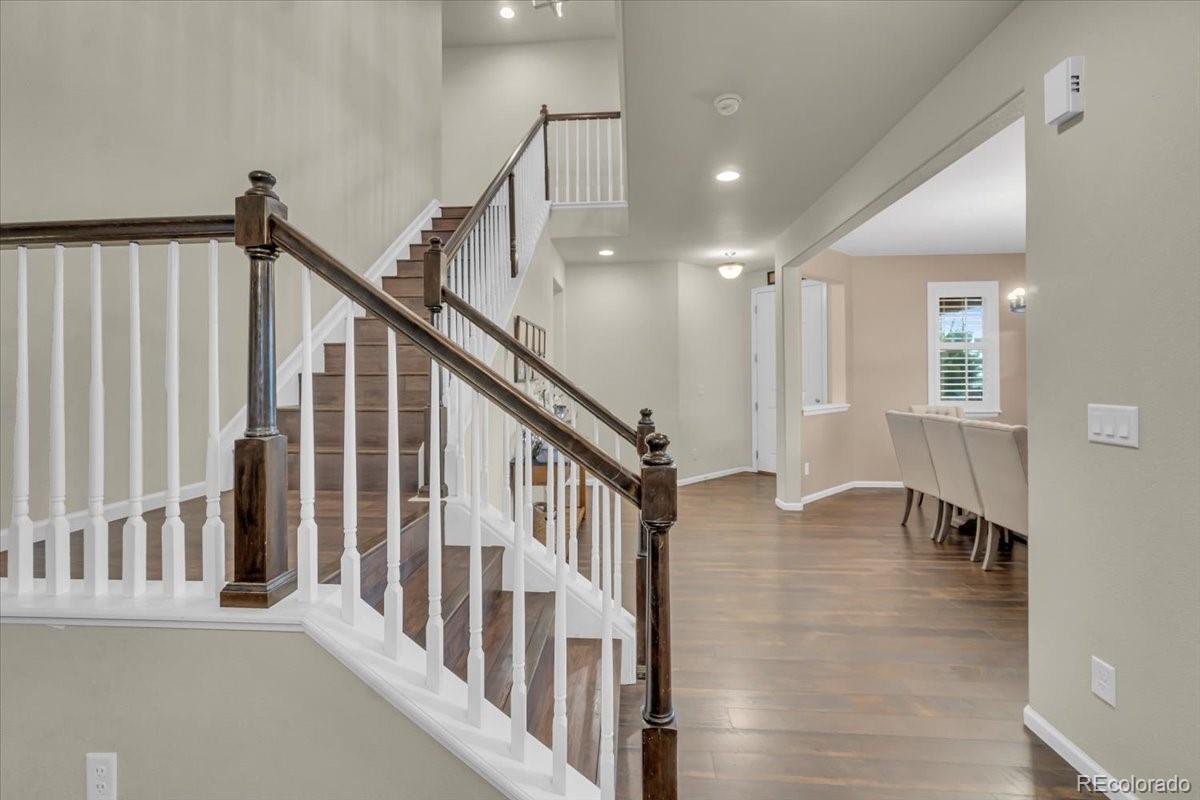 MLS Image #6 for 3762  white rose loop,castle rock, Colorado