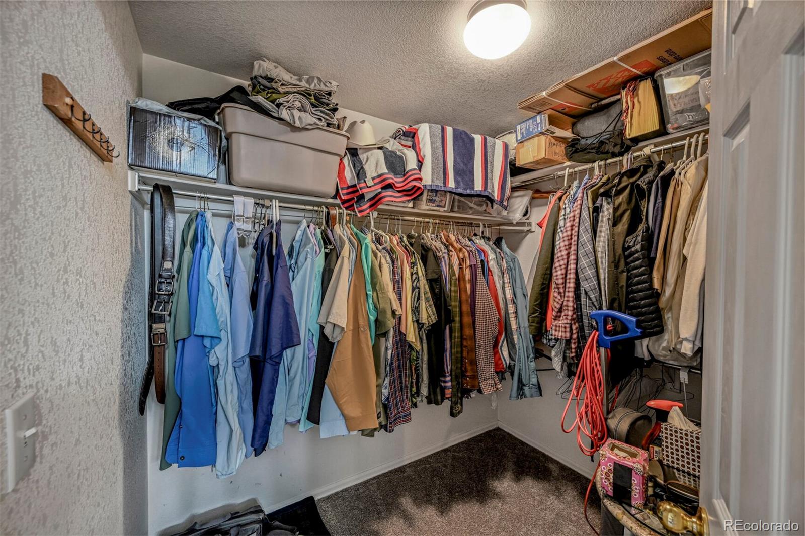 MLS Image #15 for 611  branding iron lane,castle rock, Colorado