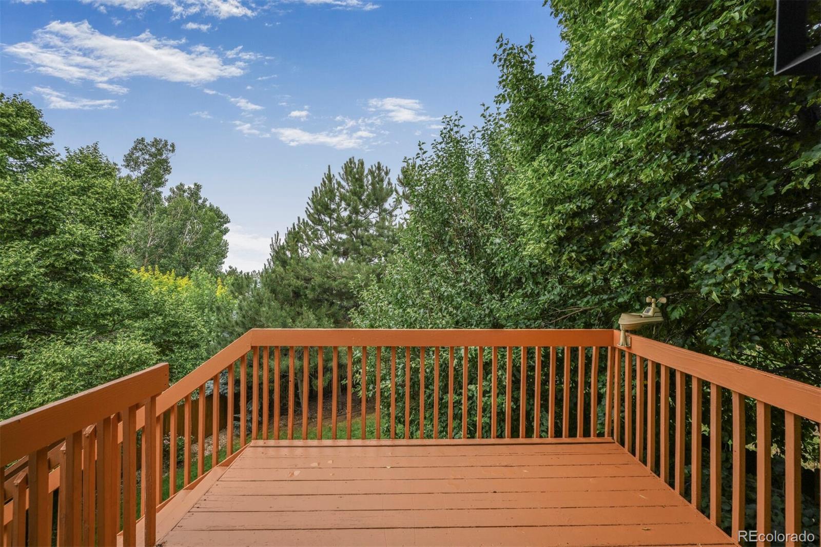 MLS Image #23 for 611  branding iron lane,castle rock, Colorado