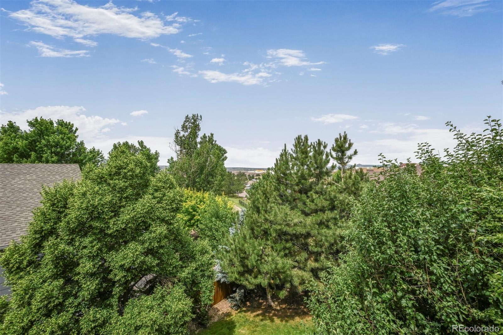 MLS Image #27 for 611  branding iron lane,castle rock, Colorado