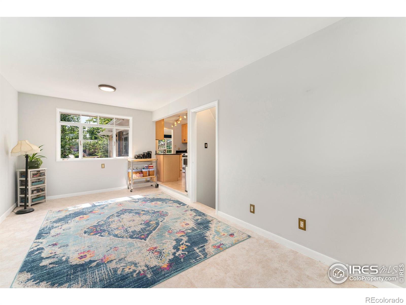 MLS Image #10 for 216  hemlock street,broomfield, Colorado