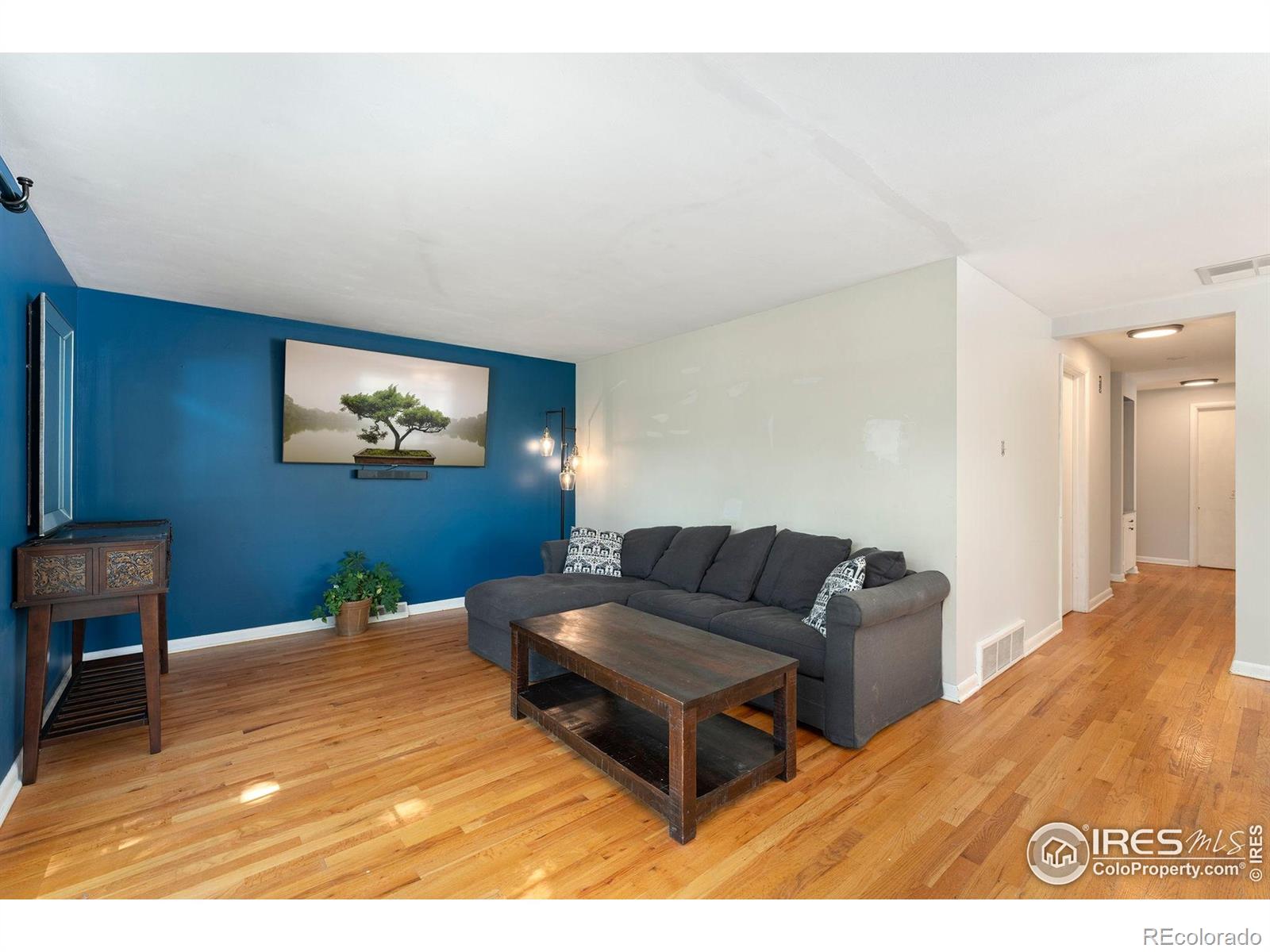 MLS Image #12 for 216  hemlock street,broomfield, Colorado