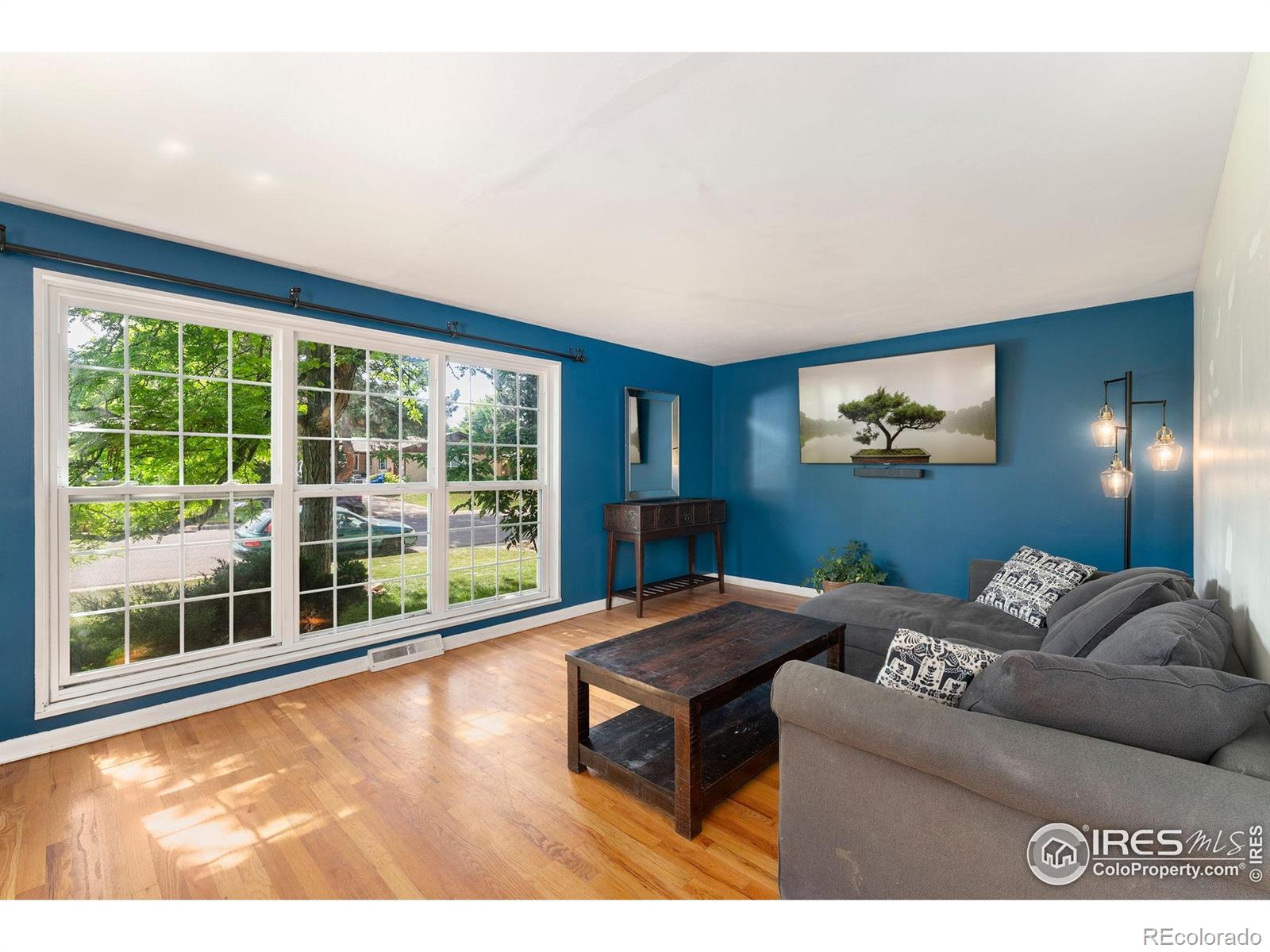 MLS Image #8 for 216  hemlock street,broomfield, Colorado