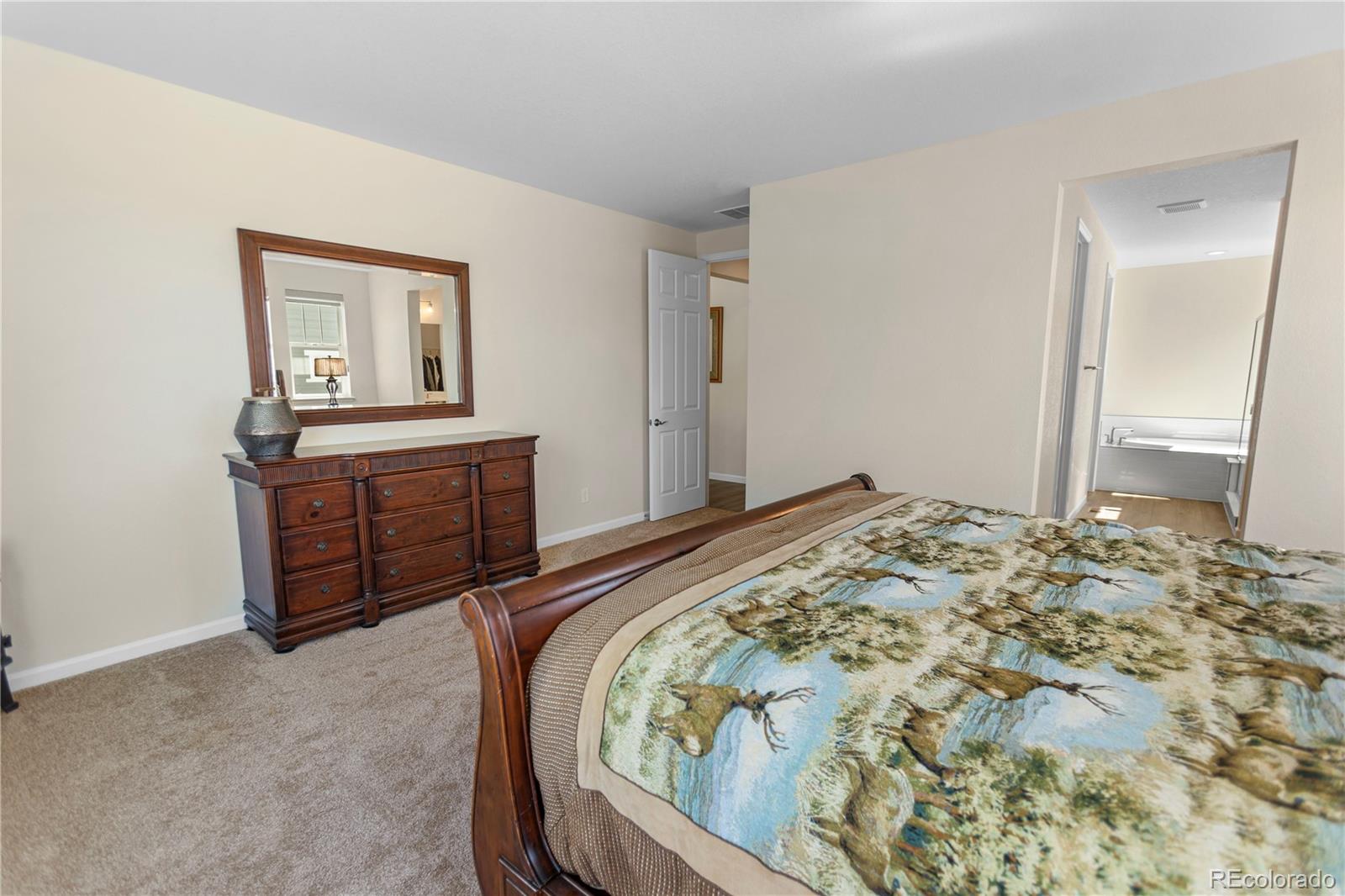 MLS Image #12 for 4121  river oaks street,castle rock, Colorado