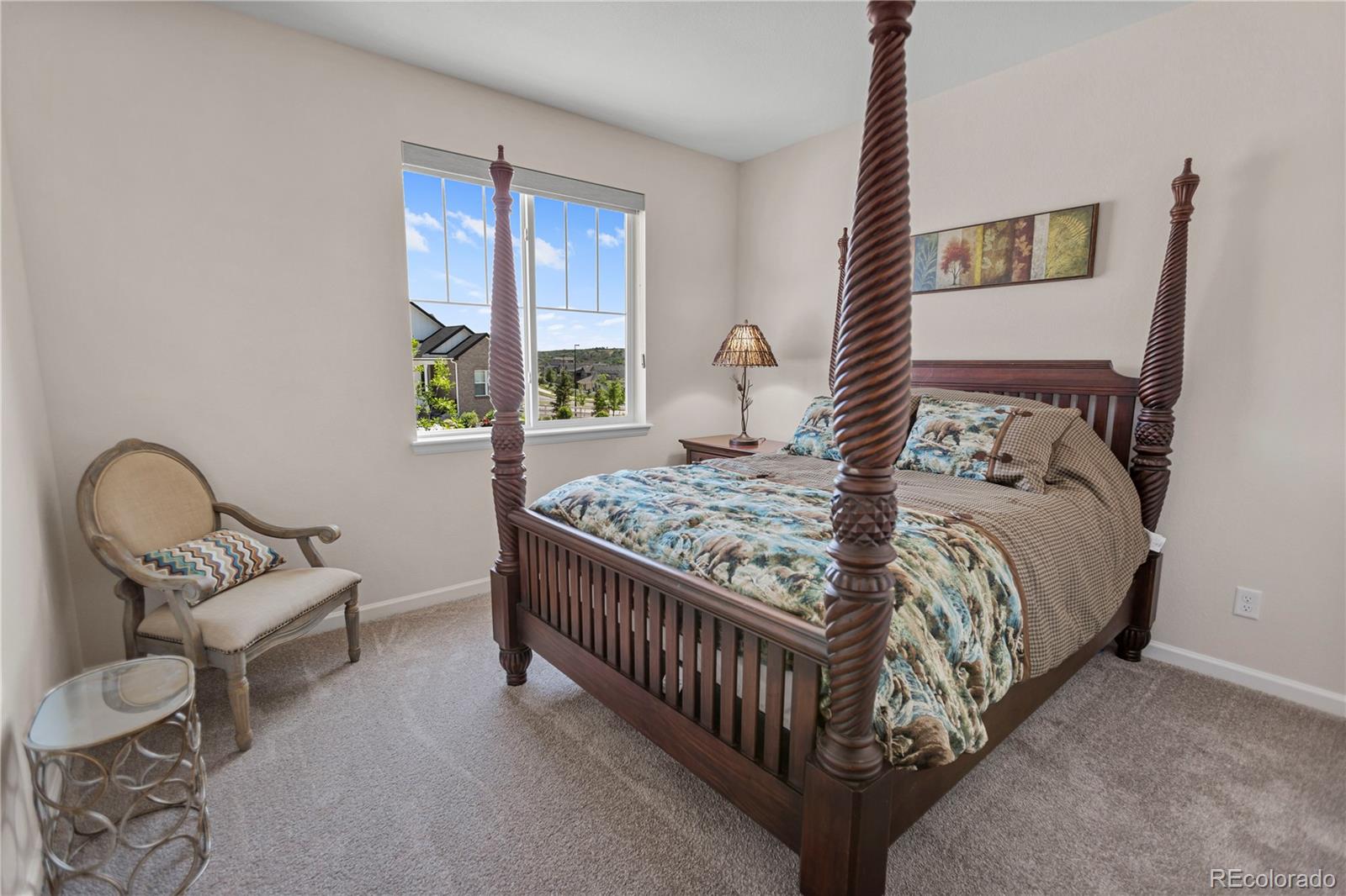 MLS Image #17 for 4121  river oaks street,castle rock, Colorado