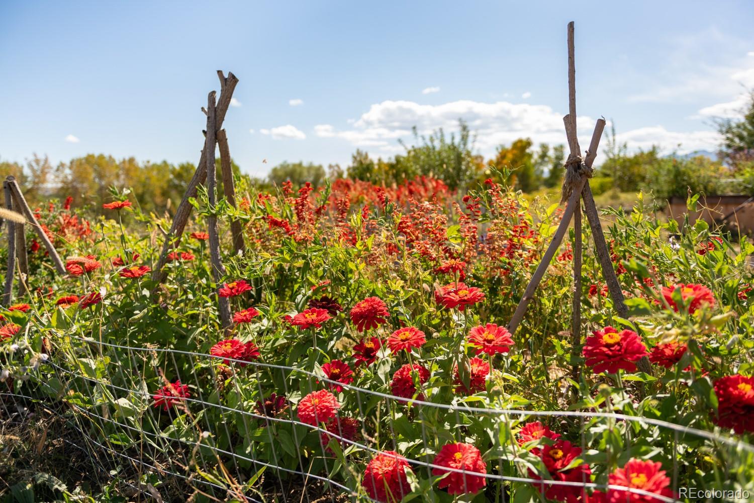 MLS Image #22 for 5952  oxford road,niwot, Colorado