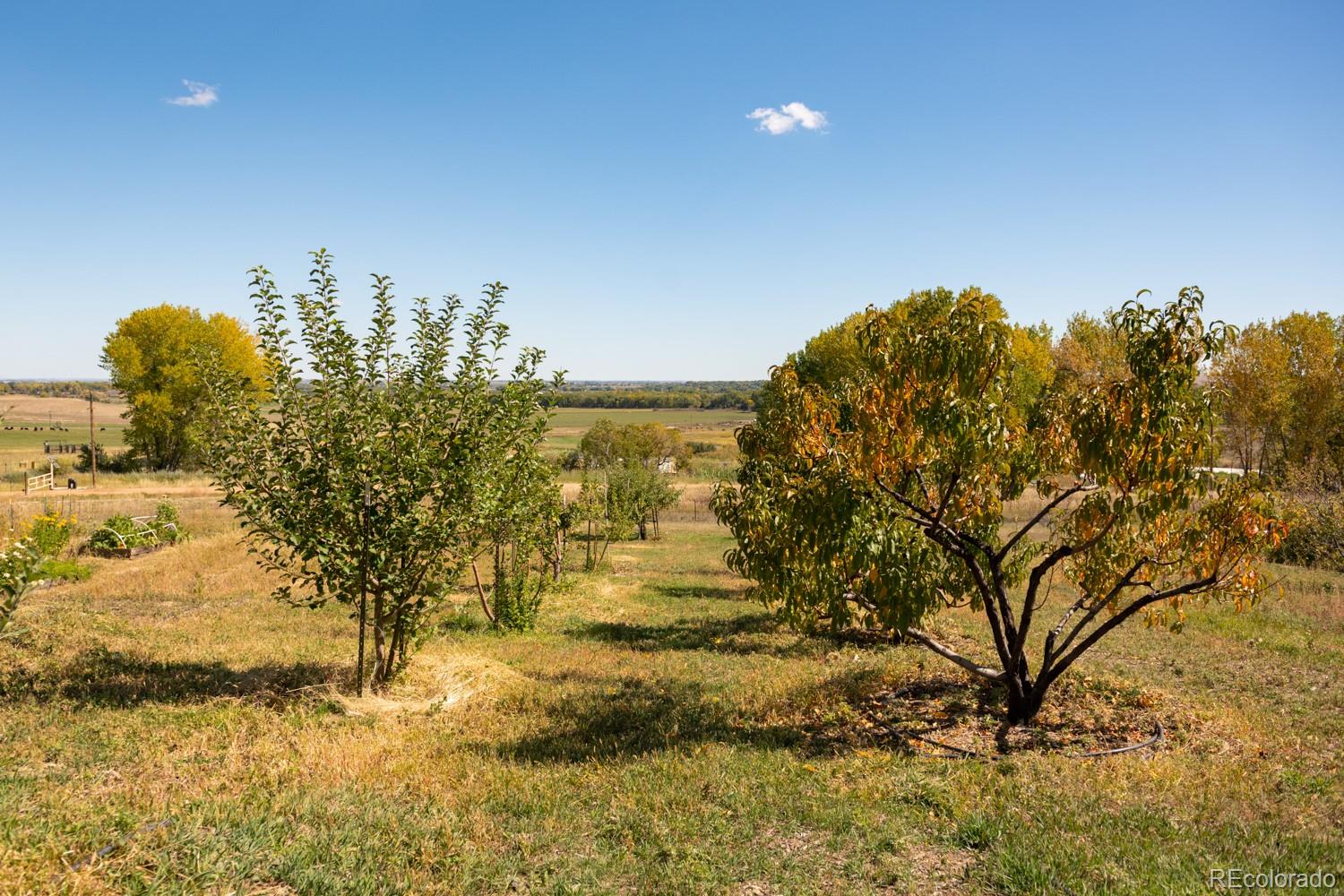 MLS Image #23 for 5952  oxford road,niwot, Colorado