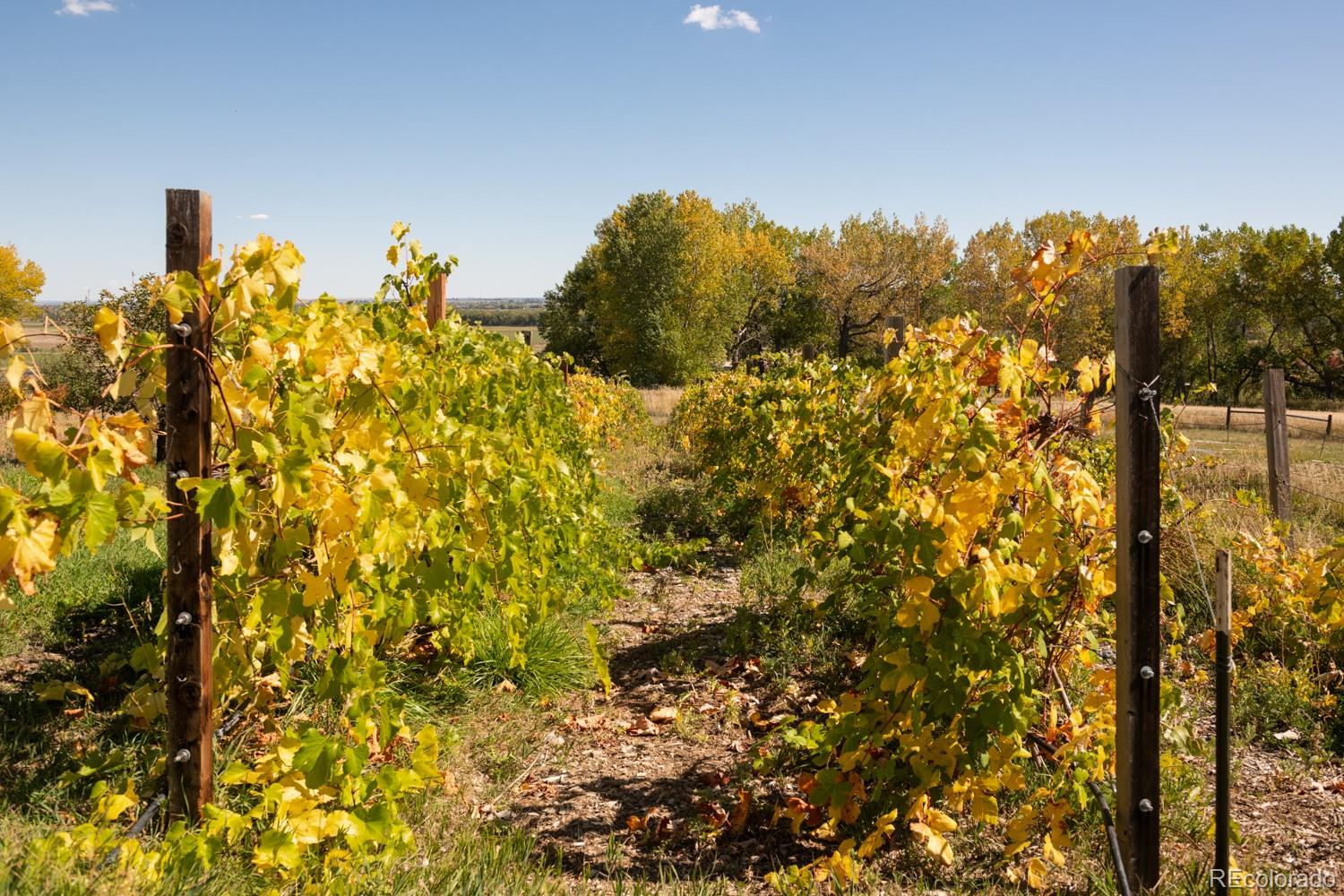 MLS Image #24 for 5952  oxford road,niwot, Colorado