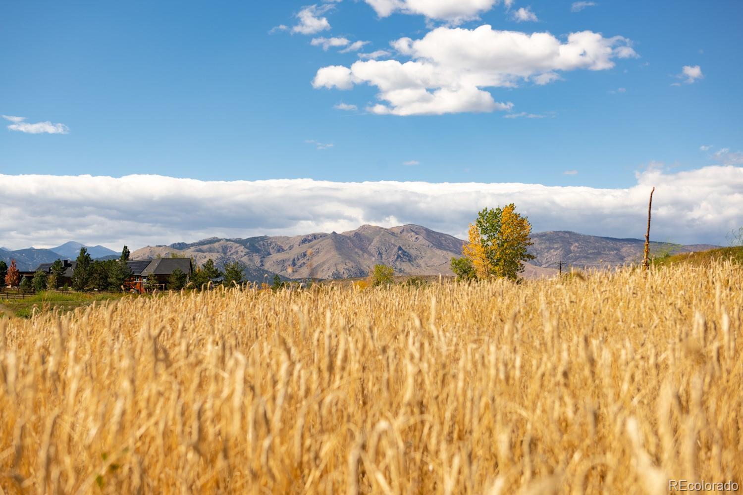 MLS Image #25 for 5952  oxford road,niwot, Colorado