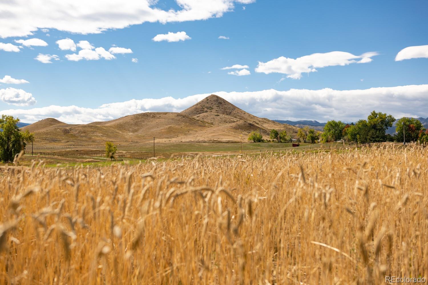 MLS Image #27 for 5952  oxford road,niwot, Colorado