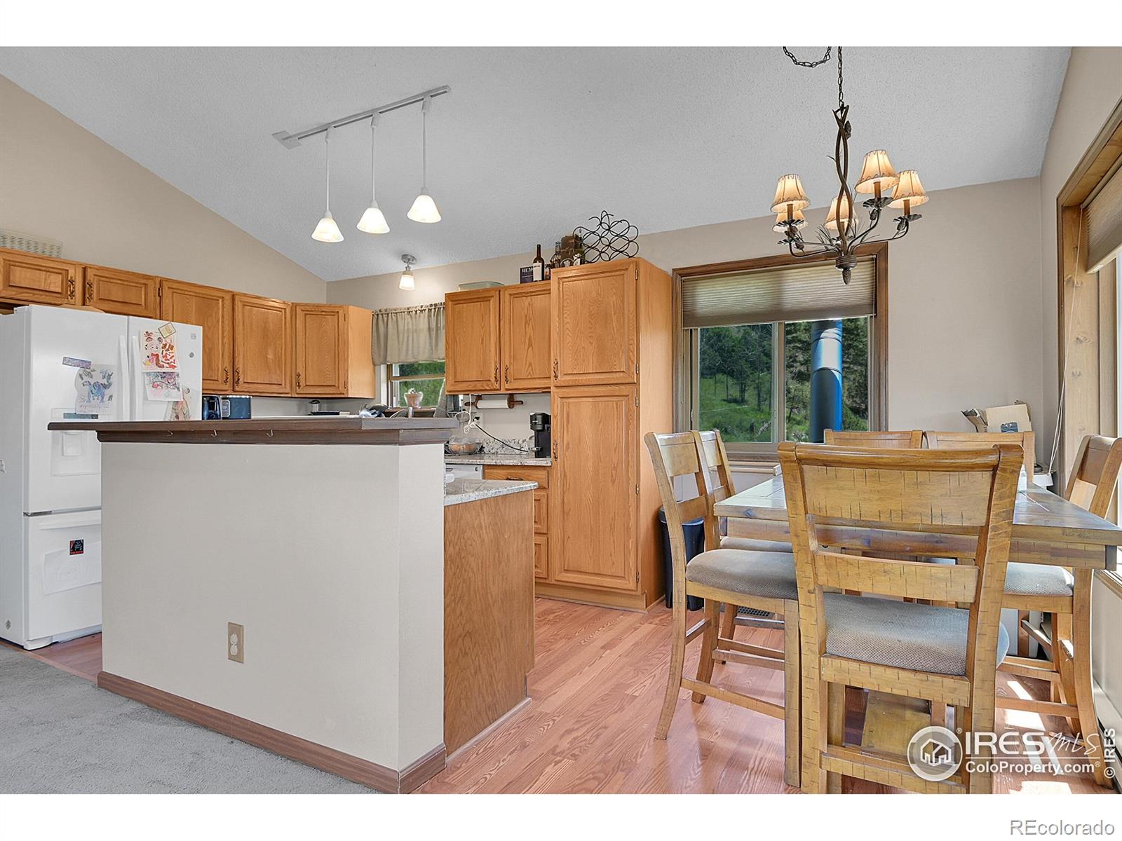 MLS Image #10 for 13976  wamblee trail,conifer, Colorado
