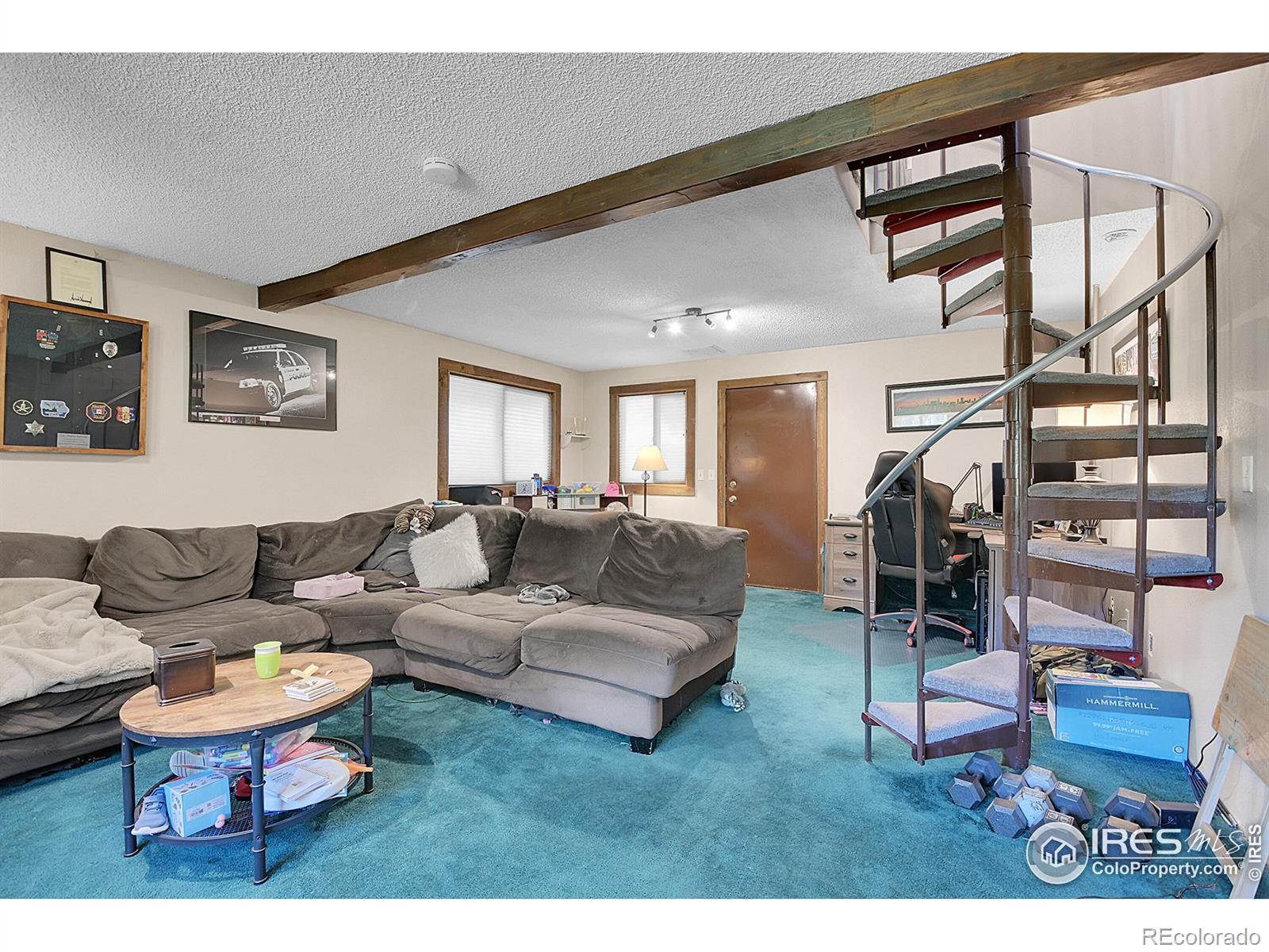MLS Image #22 for 13976  wamblee trail,conifer, Colorado