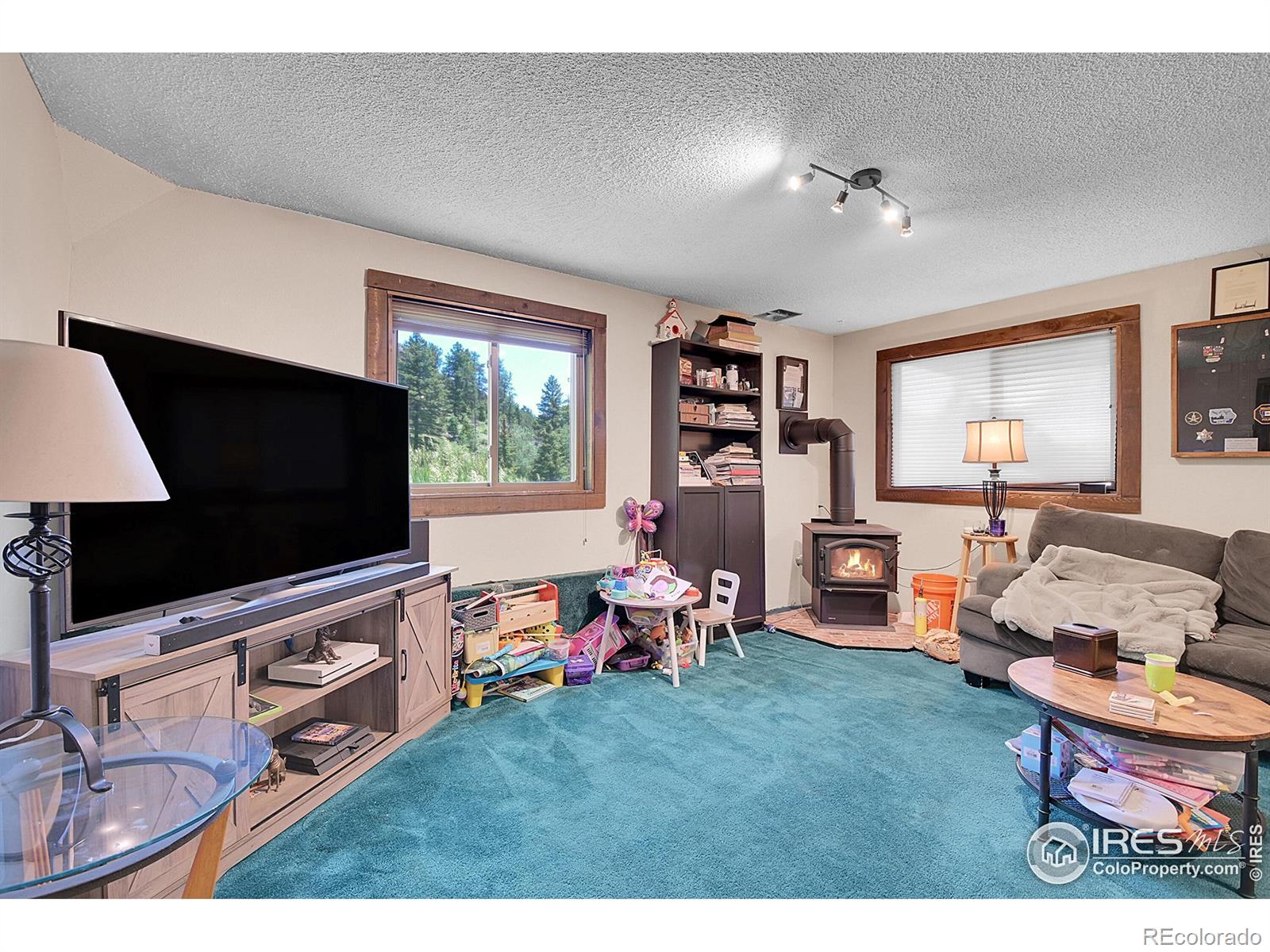 MLS Image #24 for 13976  wamblee trail,conifer, Colorado