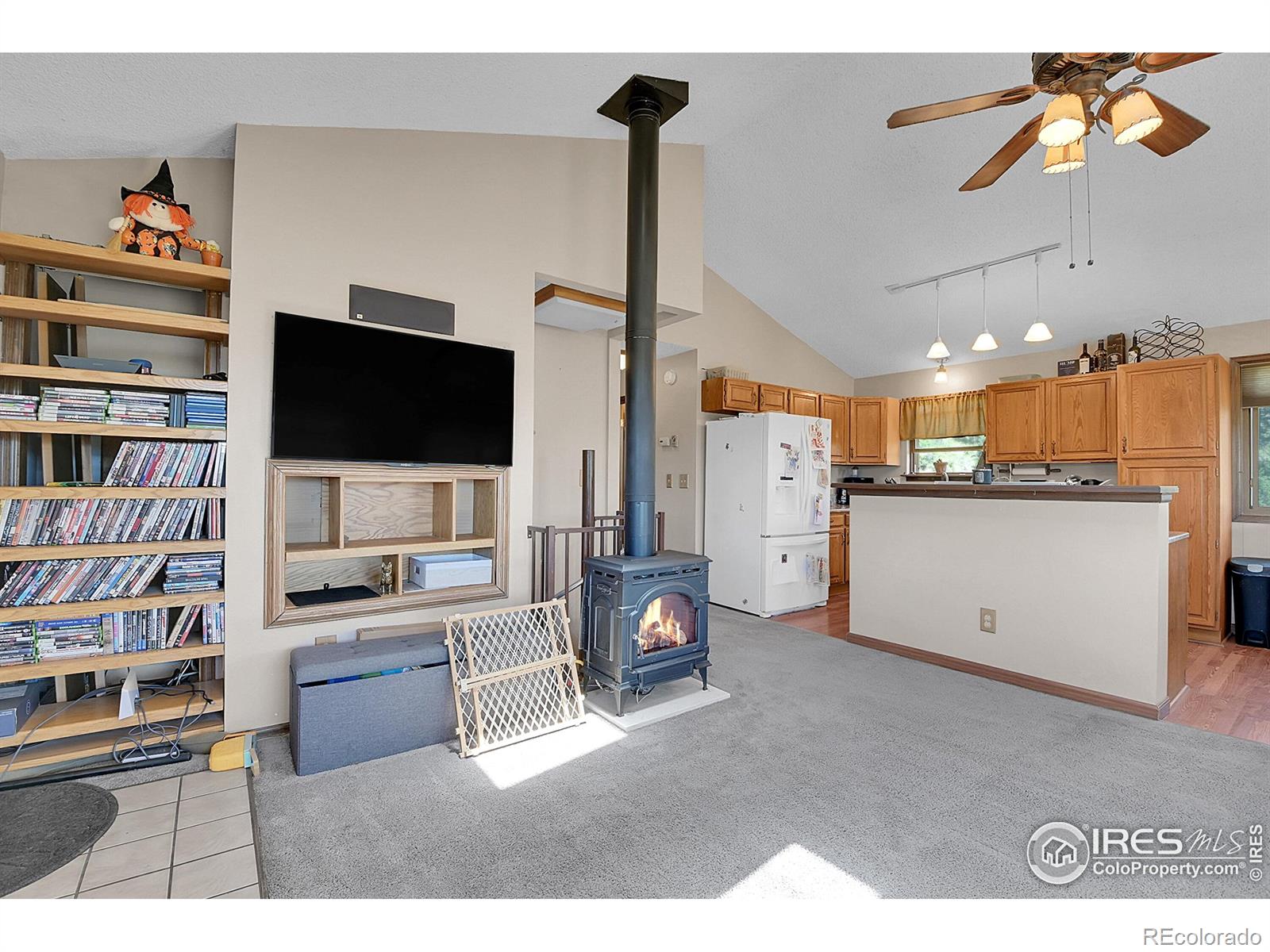MLS Image #7 for 13976  wamblee trail,conifer, Colorado
