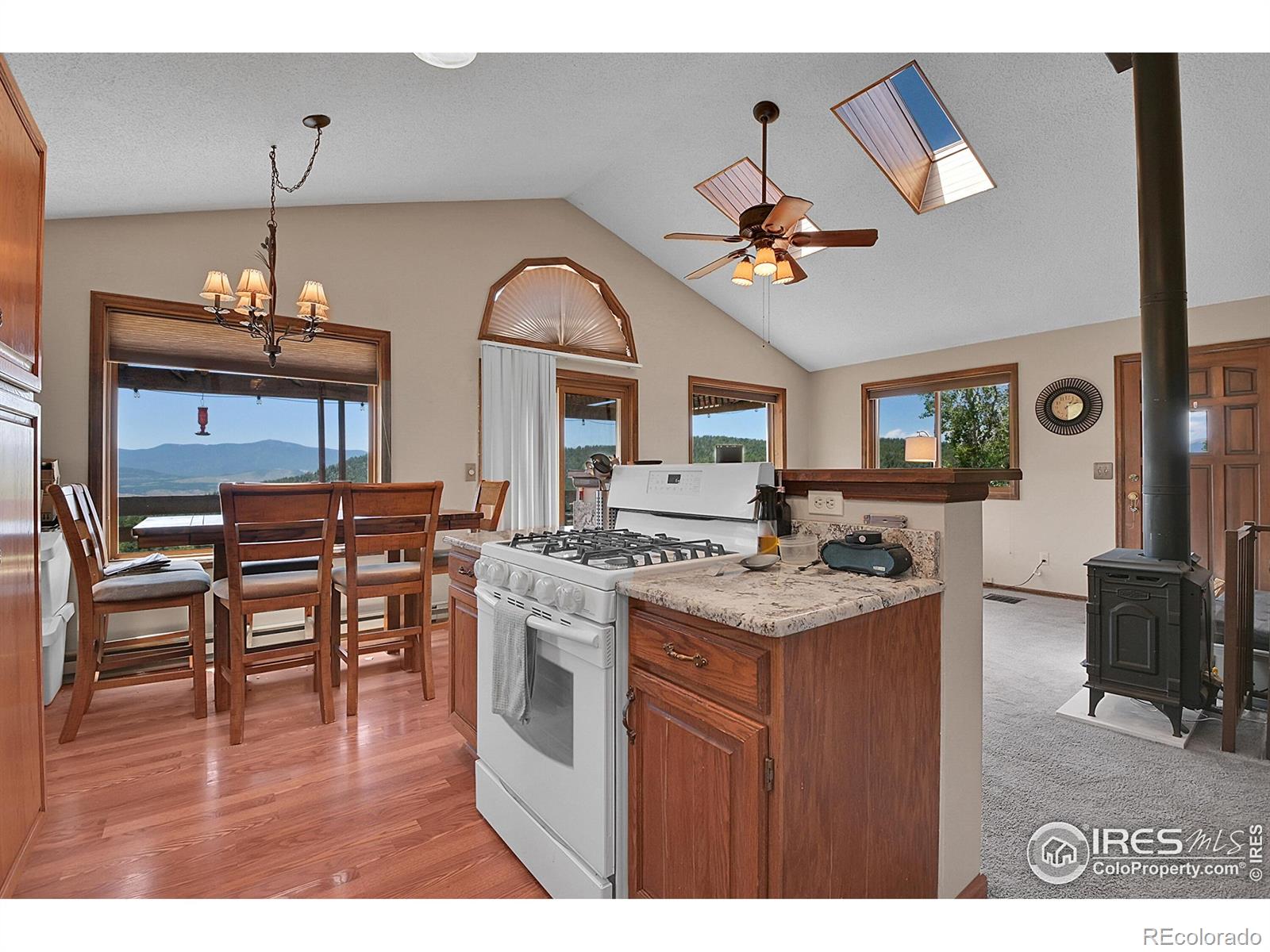 MLS Image #9 for 13976  wamblee trail,conifer, Colorado