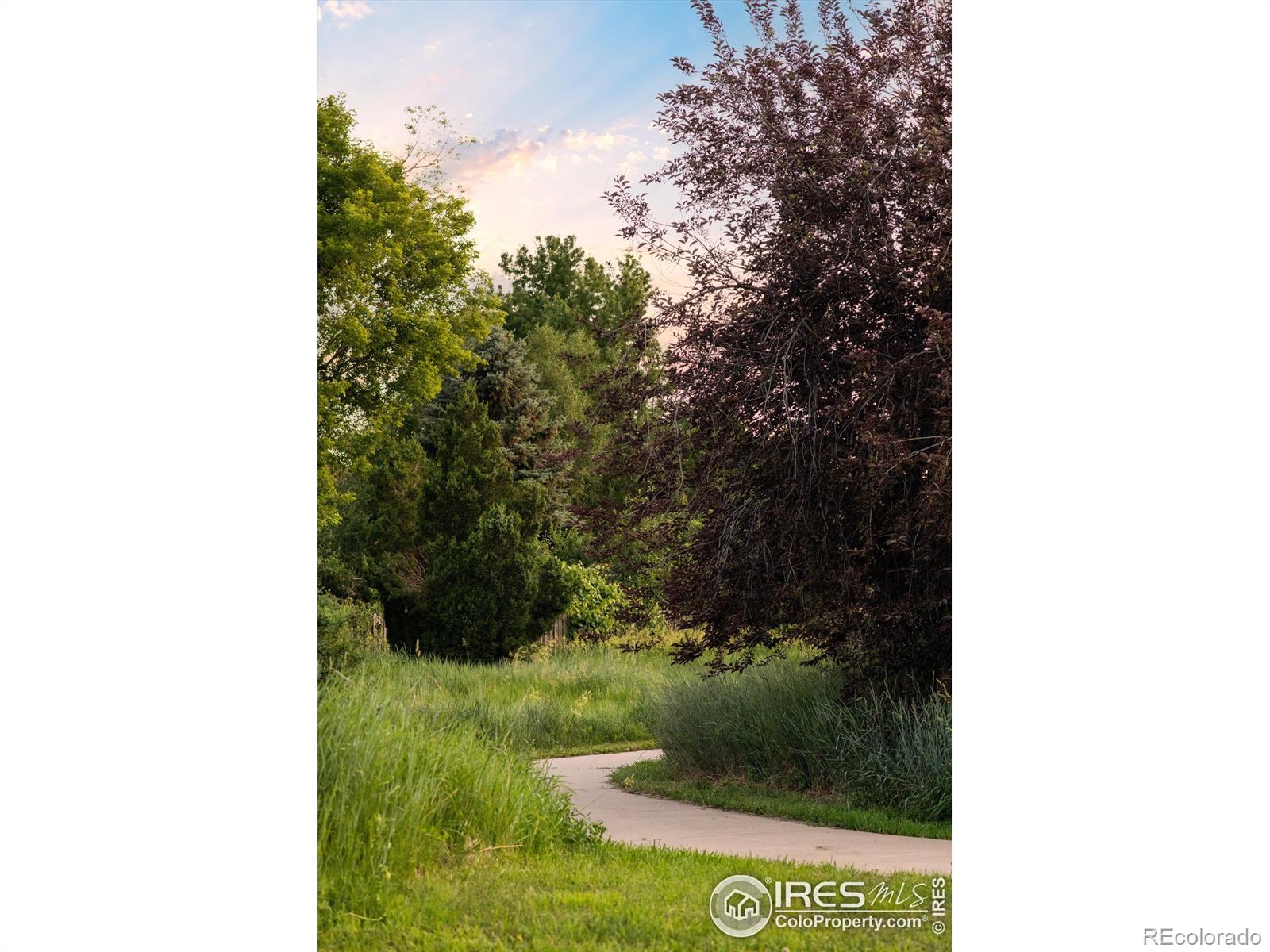 MLS Image #31 for 4240  harlan street,wheat ridge, Colorado