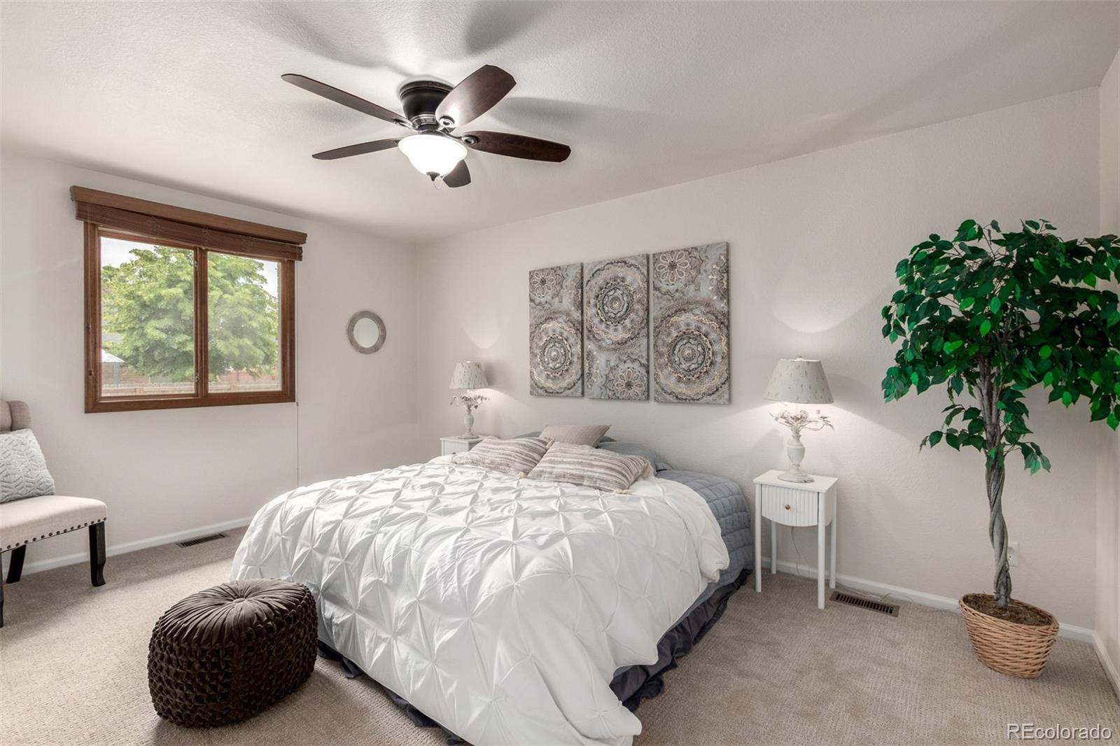 MLS Image #8 for 209 e chestnut street,windsor, Colorado