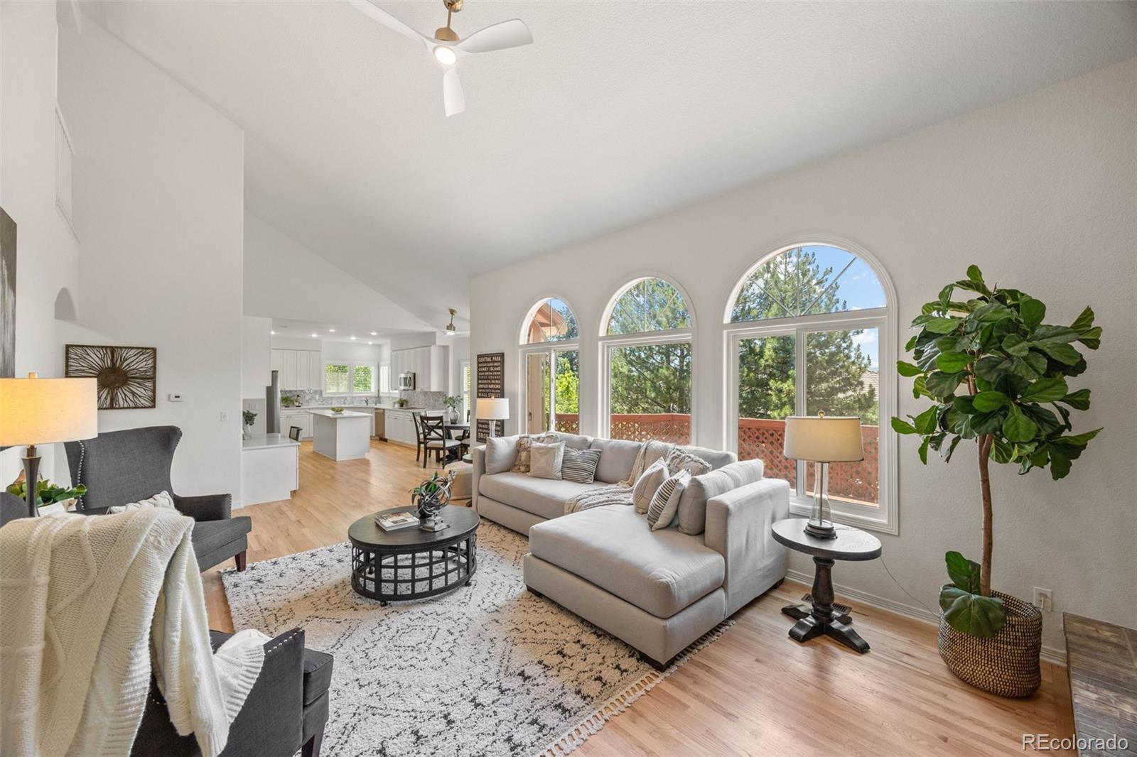 MLS Image #12 for 9117  buck hill drive,highlands ranch, Colorado