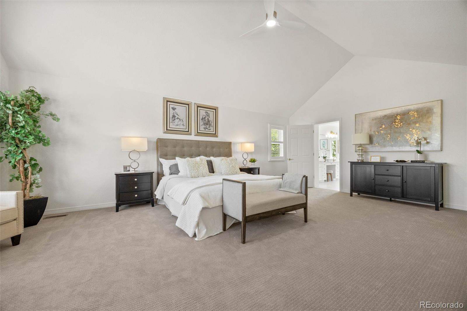 MLS Image #20 for 9117  buck hill drive,highlands ranch, Colorado