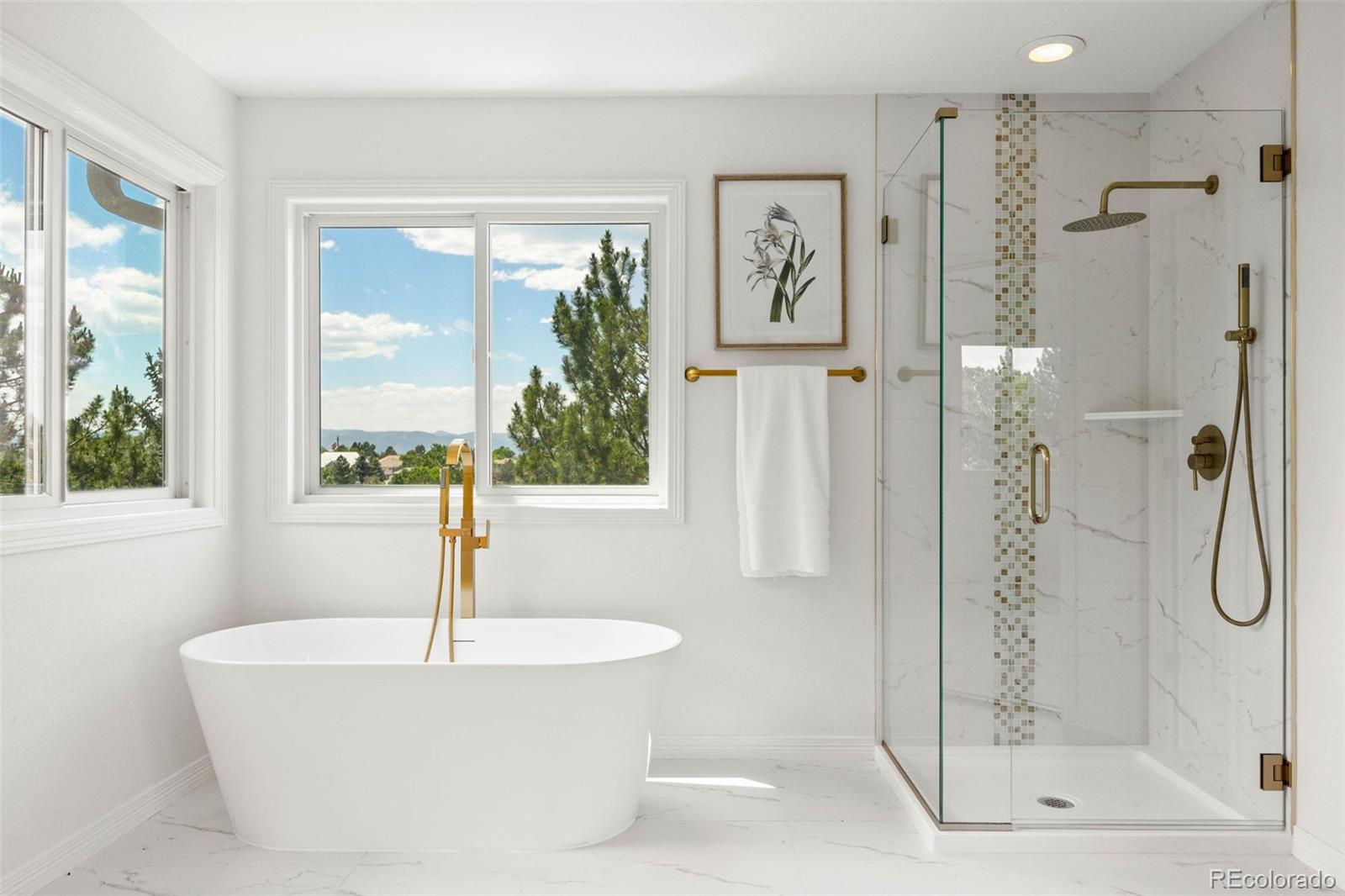 MLS Image #21 for 9117  buck hill drive,highlands ranch, Colorado