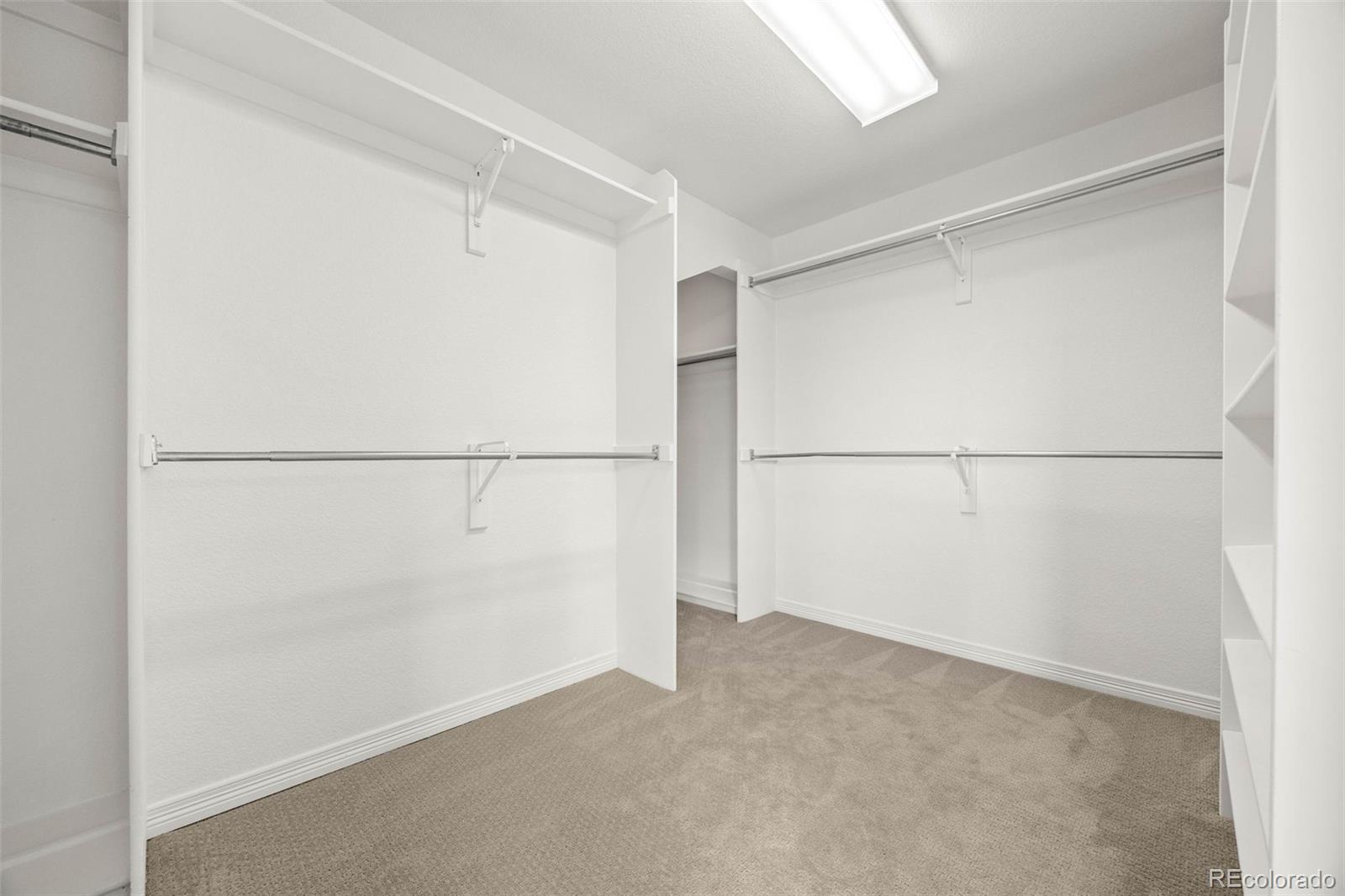 MLS Image #22 for 9117  buck hill drive,highlands ranch, Colorado
