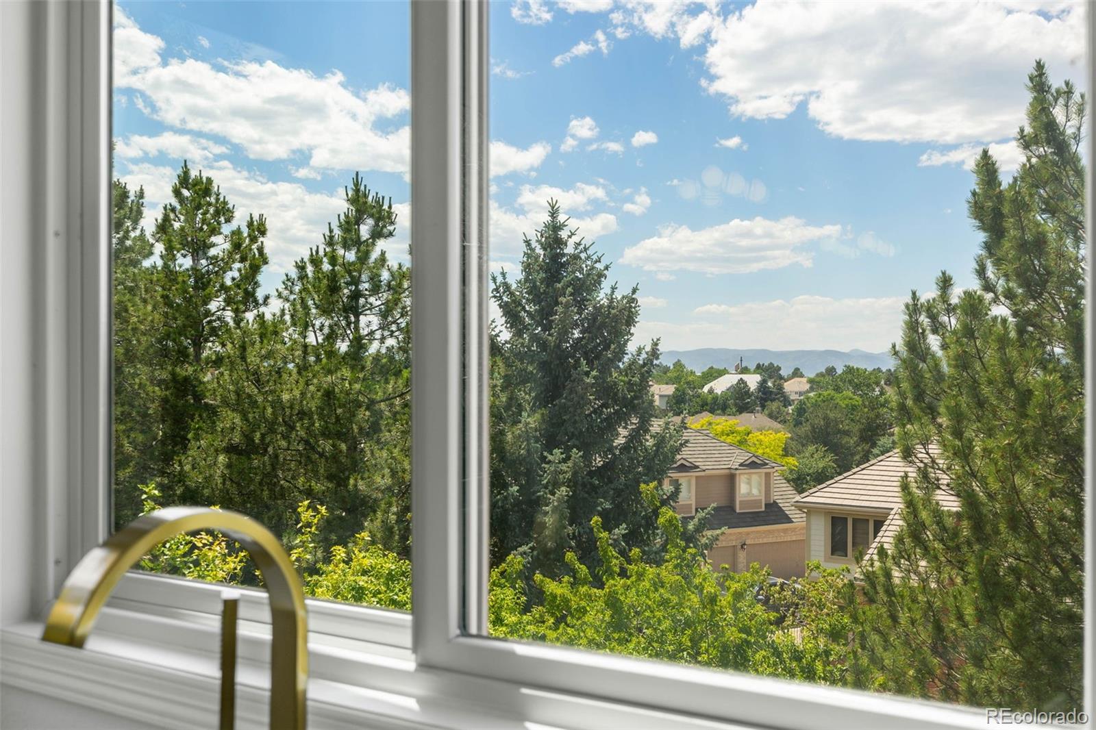 MLS Image #9 for 9117  buck hill drive,highlands ranch, Colorado