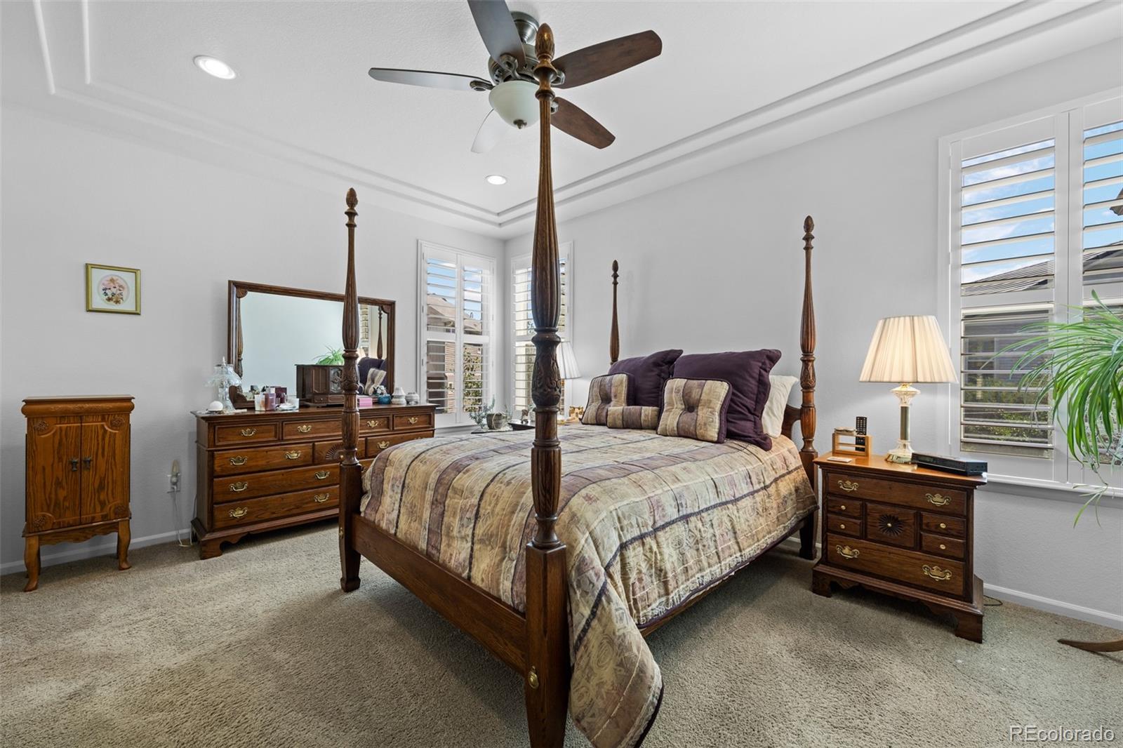 MLS Image #16 for 3748  starry night loop,castle rock, Colorado