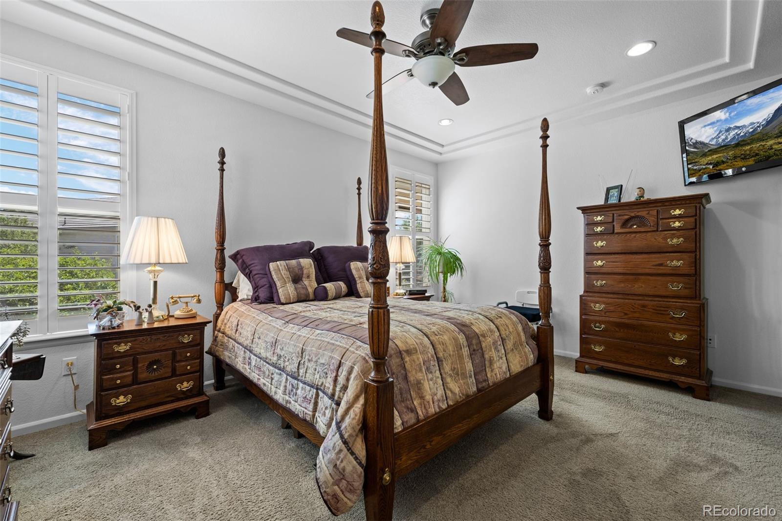 MLS Image #17 for 3748  starry night loop,castle rock, Colorado