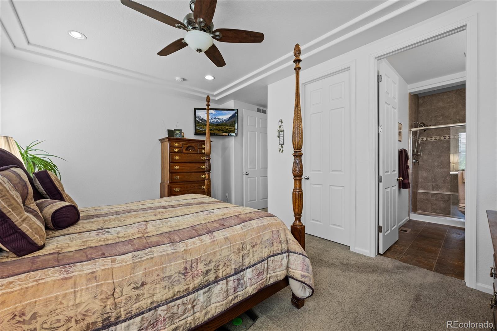 MLS Image #18 for 3748  starry night loop,castle rock, Colorado