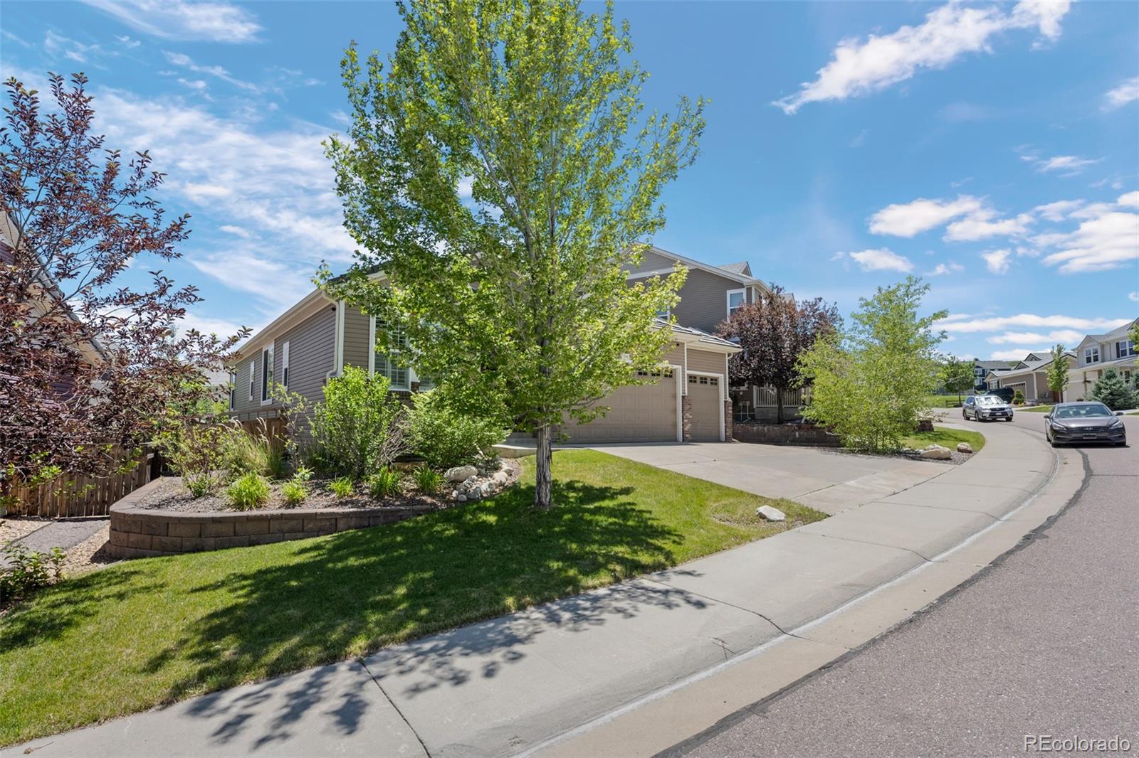 MLS Image #2 for 3748  starry night loop,castle rock, Colorado