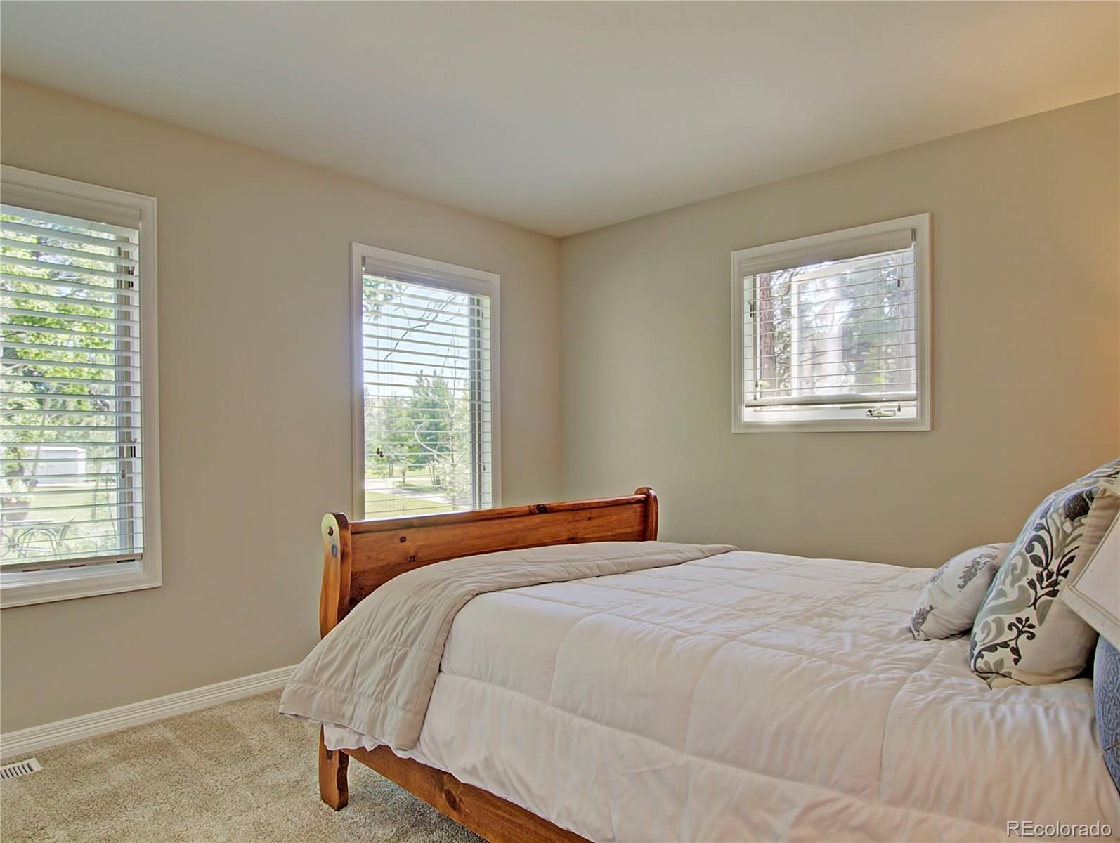 MLS Image #10 for 18210  pine vista place,colorado springs, Colorado