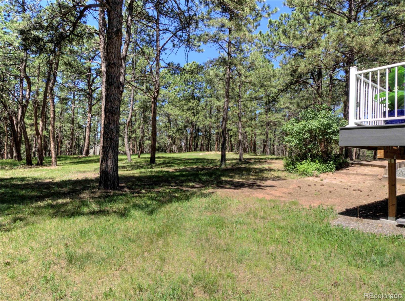 MLS Image #23 for 18210  pine vista place,colorado springs, Colorado