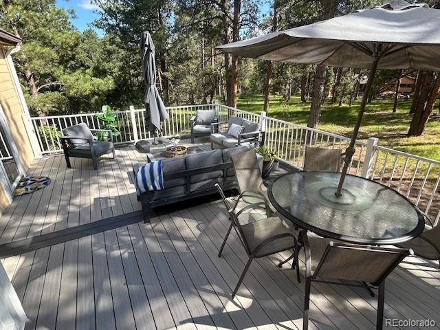 MLS Image #25 for 18210  pine vista place,colorado springs, Colorado