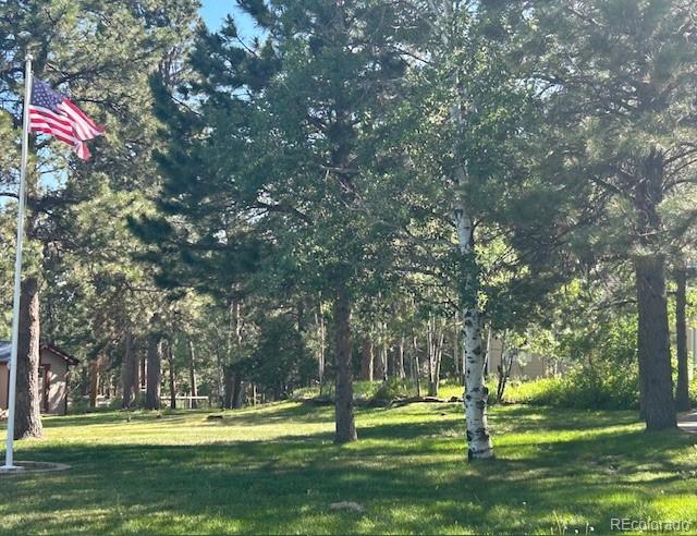 MLS Image #27 for 18210  pine vista place,colorado springs, Colorado