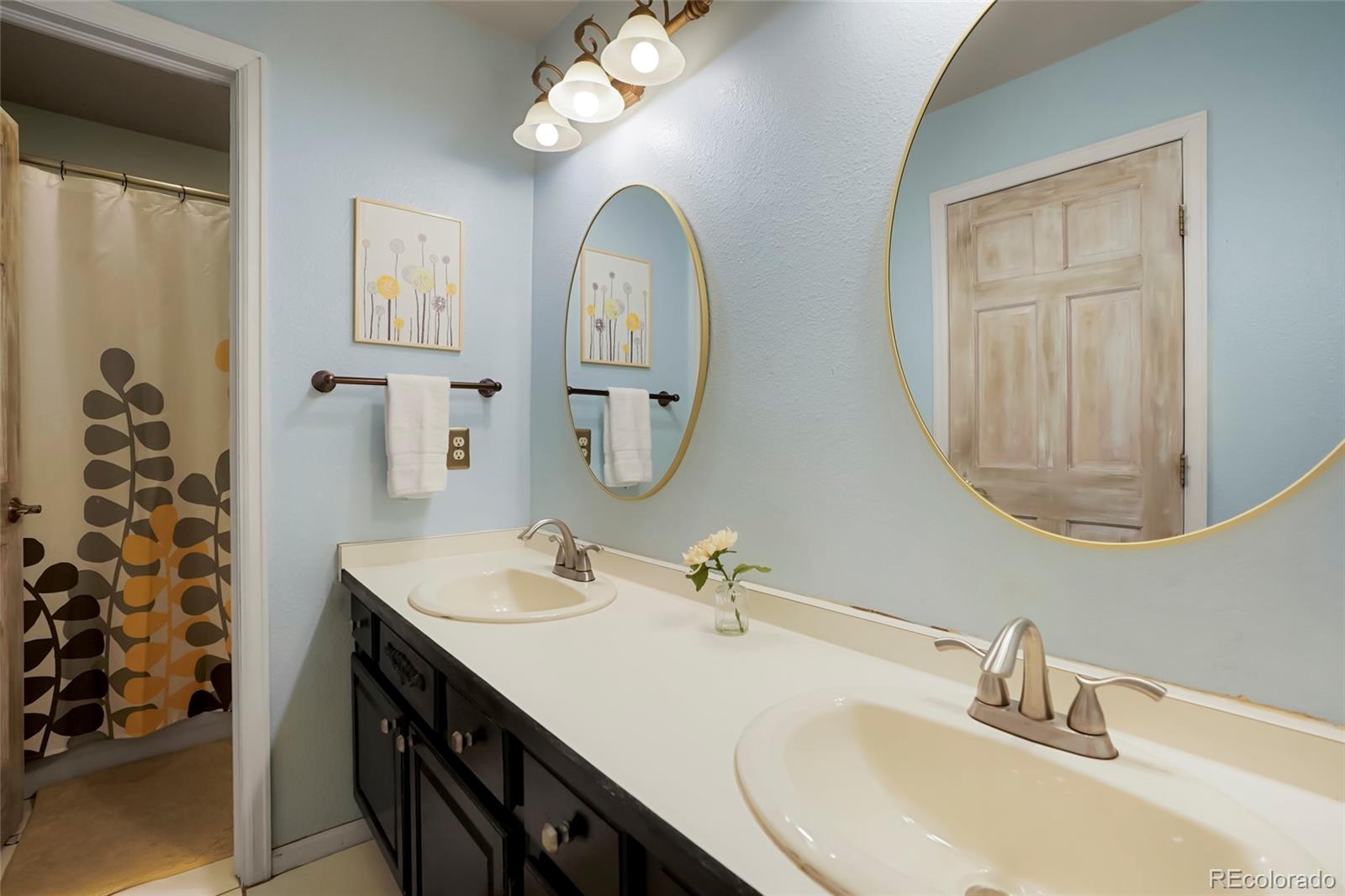 MLS Image #28 for 2061  chesapeake place,highlands ranch, Colorado