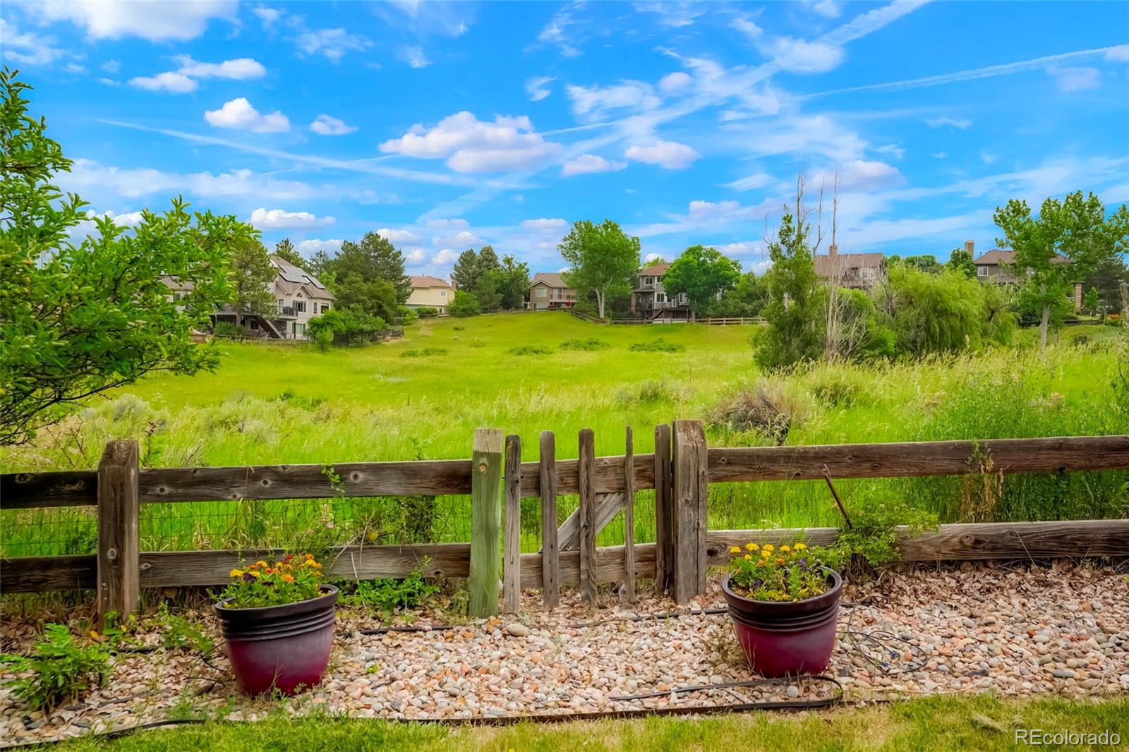 MLS Image #39 for 2061  chesapeake place,highlands ranch, Colorado