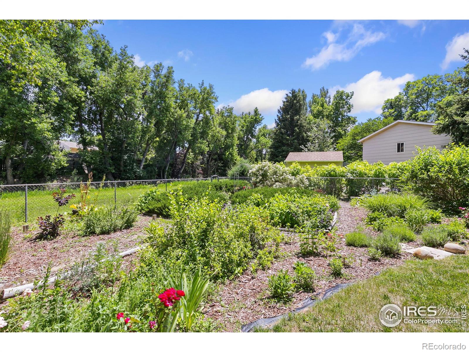 MLS Image #22 for 2940  rocky mountain court,fort collins, Colorado