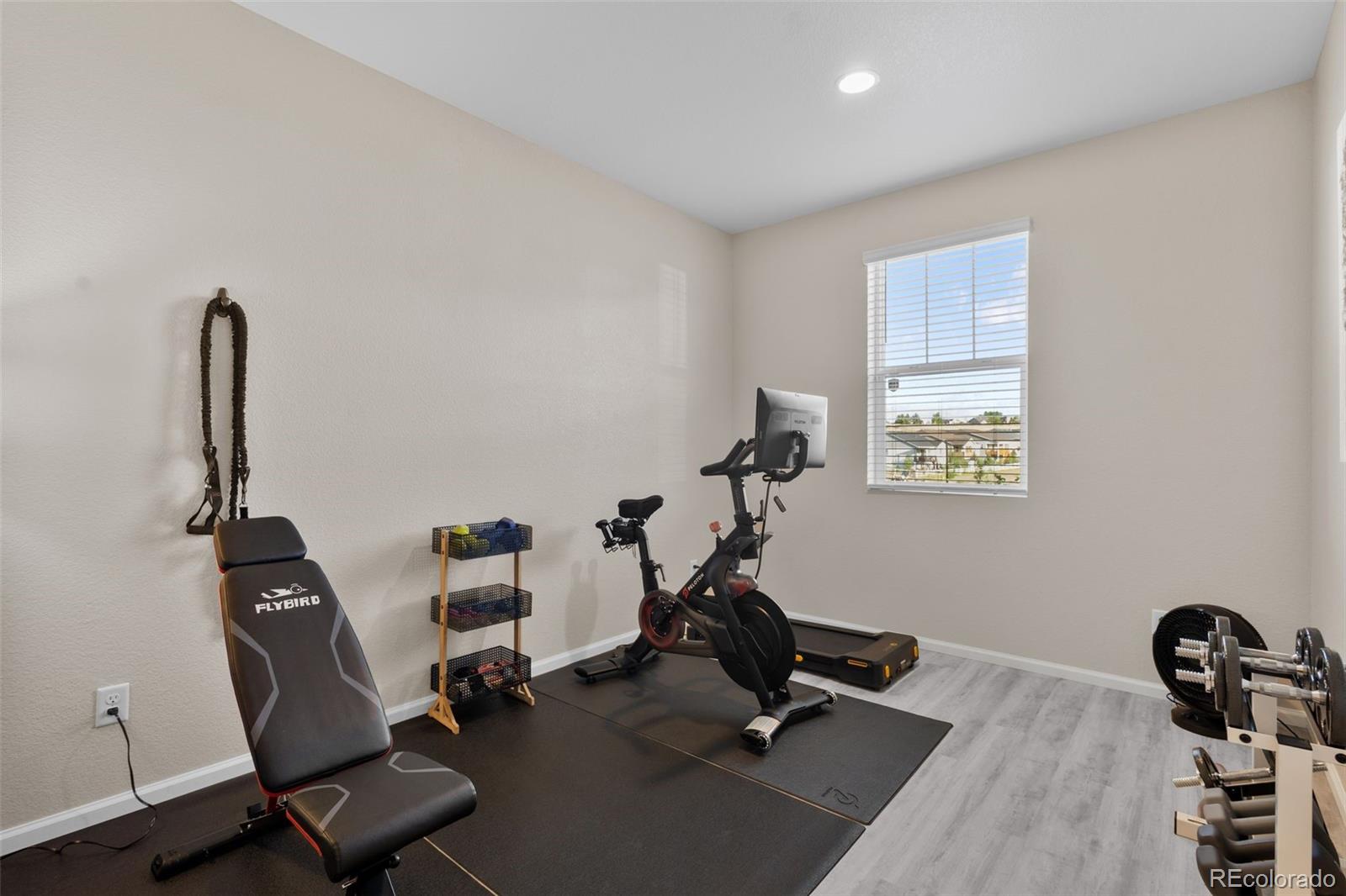 MLS Image #10 for 2637  gray wolf place,castle rock, Colorado