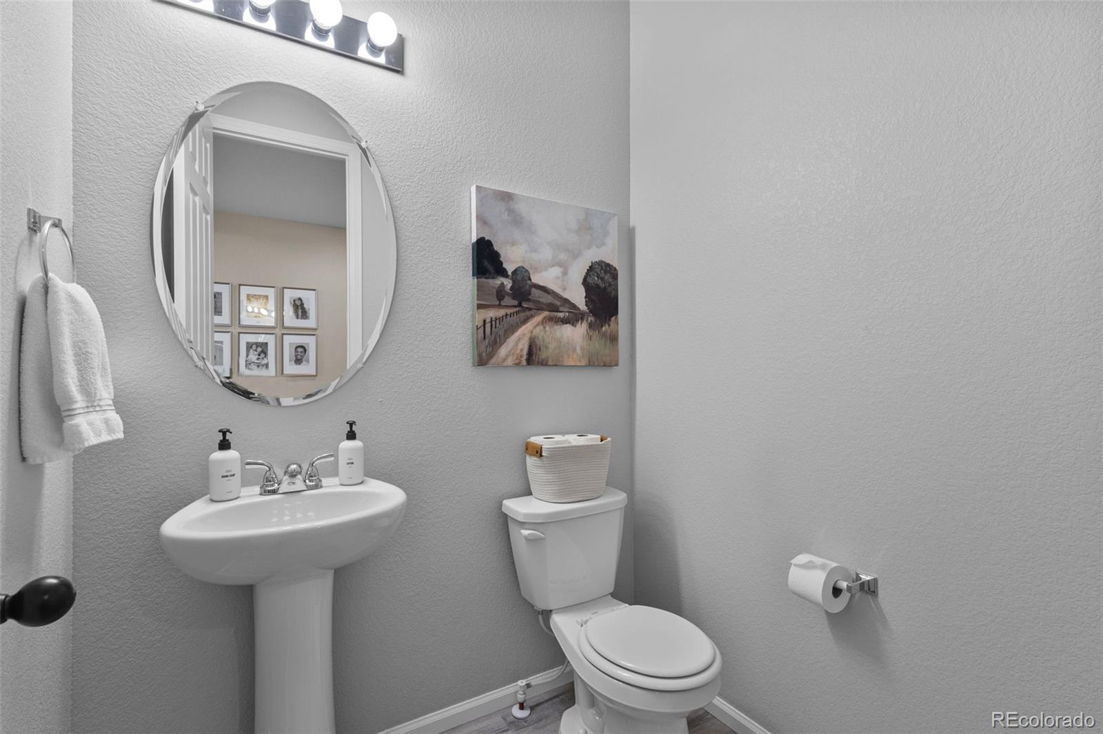 MLS Image #11 for 2637  gray wolf place,castle rock, Colorado