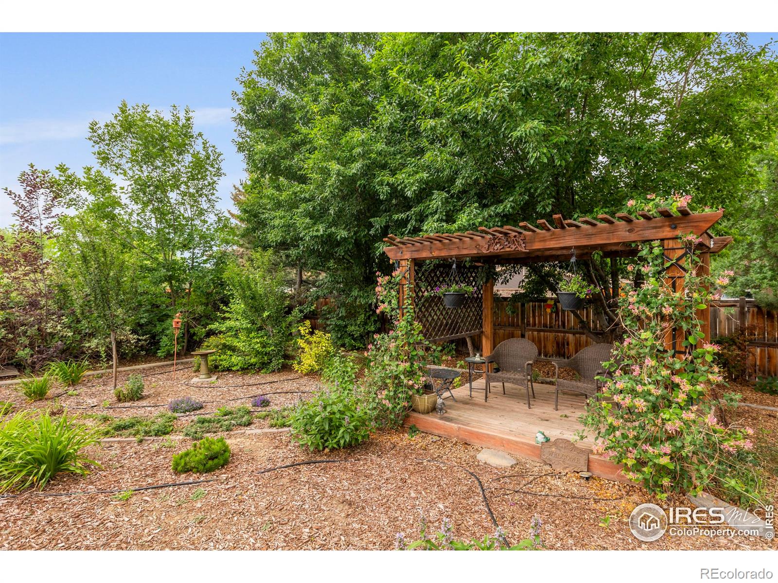 MLS Image #29 for 2503  bismarck avenue,loveland, Colorado
