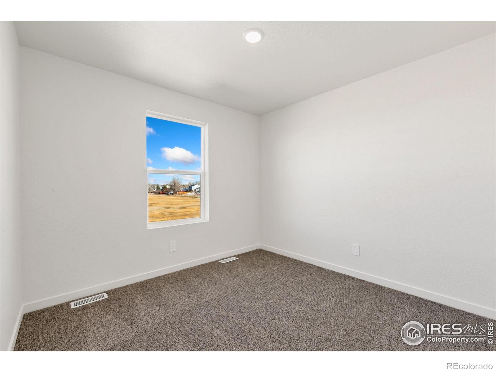 MLS Image #10 for 3178  buffalo grass lane,wellington, Colorado