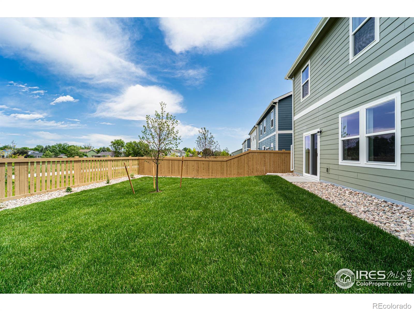 MLS Image #14 for 3178  buffalo grass lane,wellington, Colorado