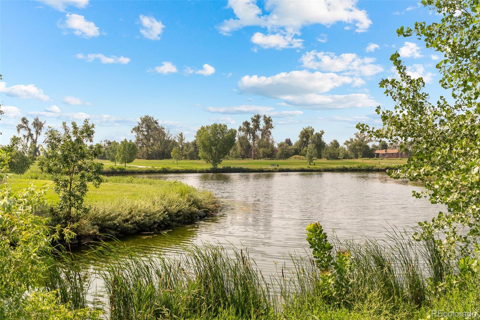 MLS Image #36 for 707  uvalda street,aurora, Colorado