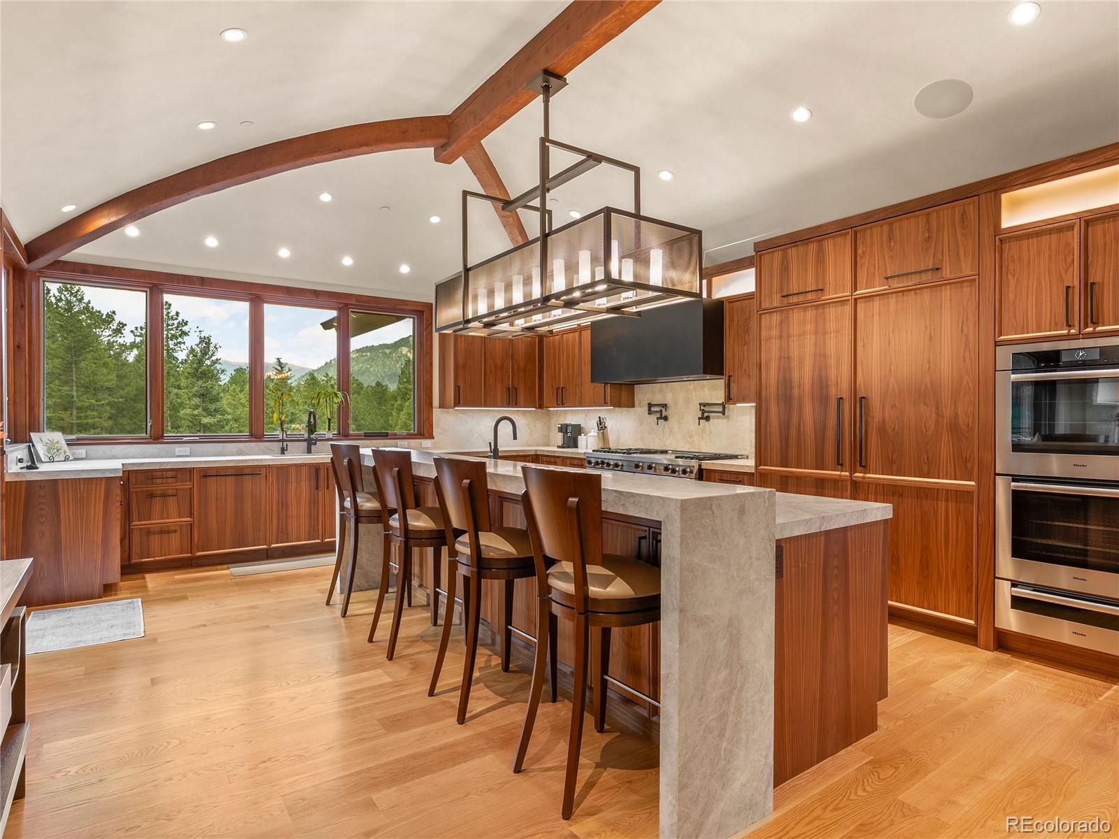 MLS Image #16 for 113  elk crossing lane,evergreen, Colorado