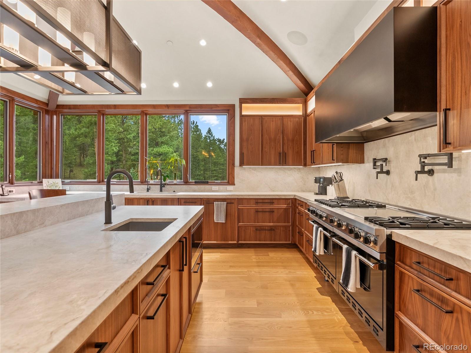 MLS Image #17 for 113  elk crossing lane,evergreen, Colorado